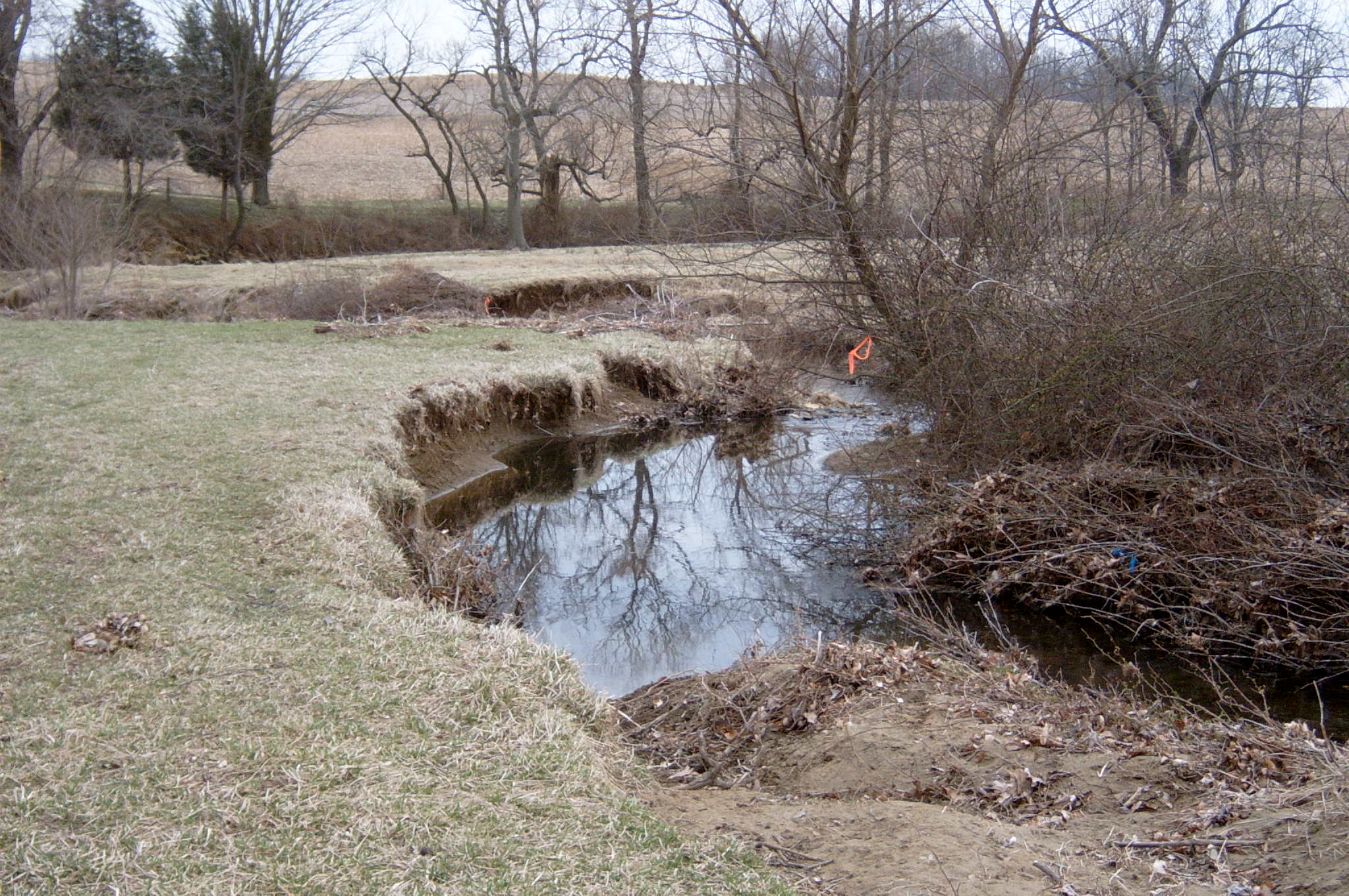 Field photo showing stream conditions at site DEER-113-R-2004-60