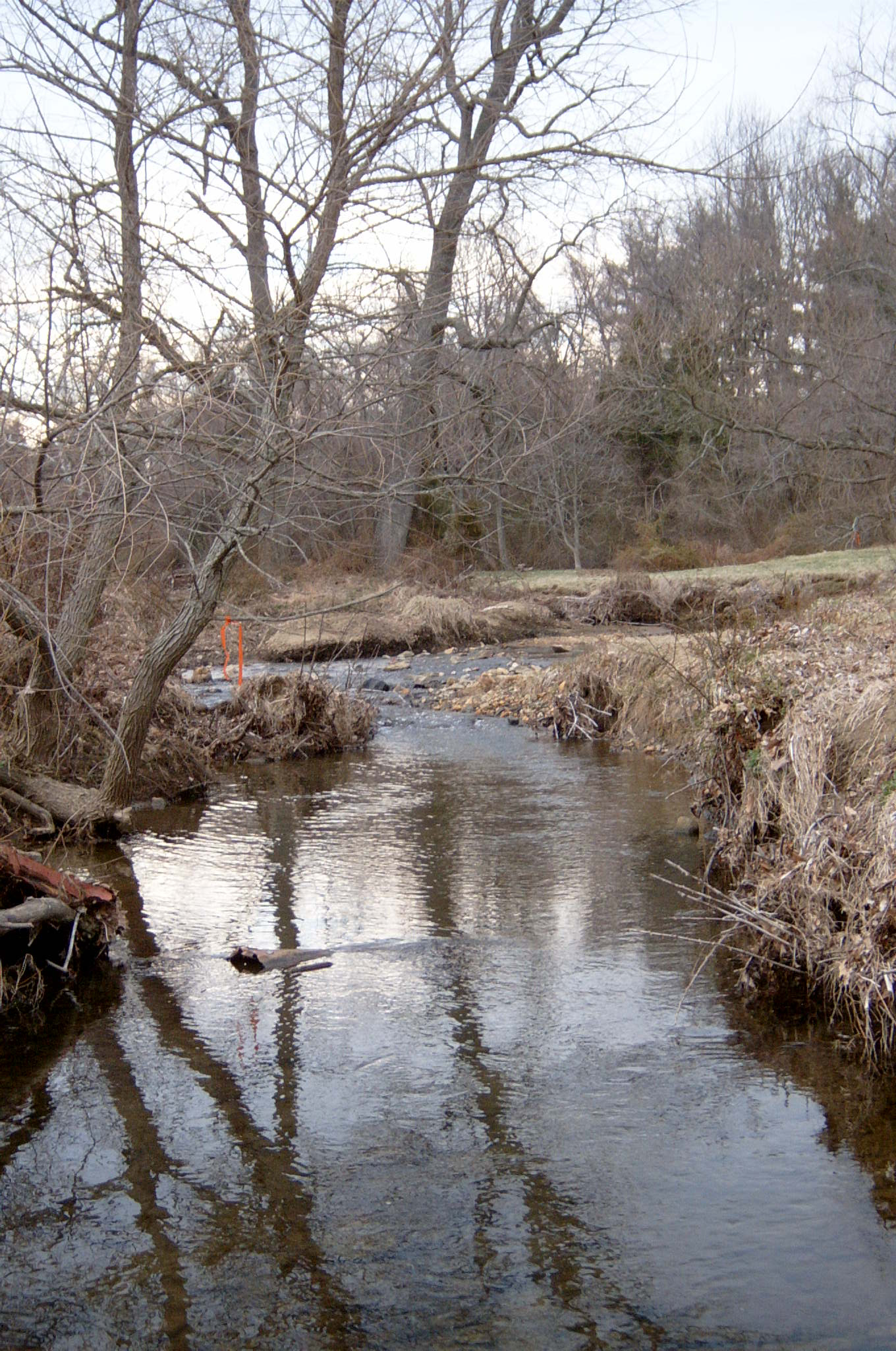 Field photo showing stream conditions at site DEER-113-R-2004-61