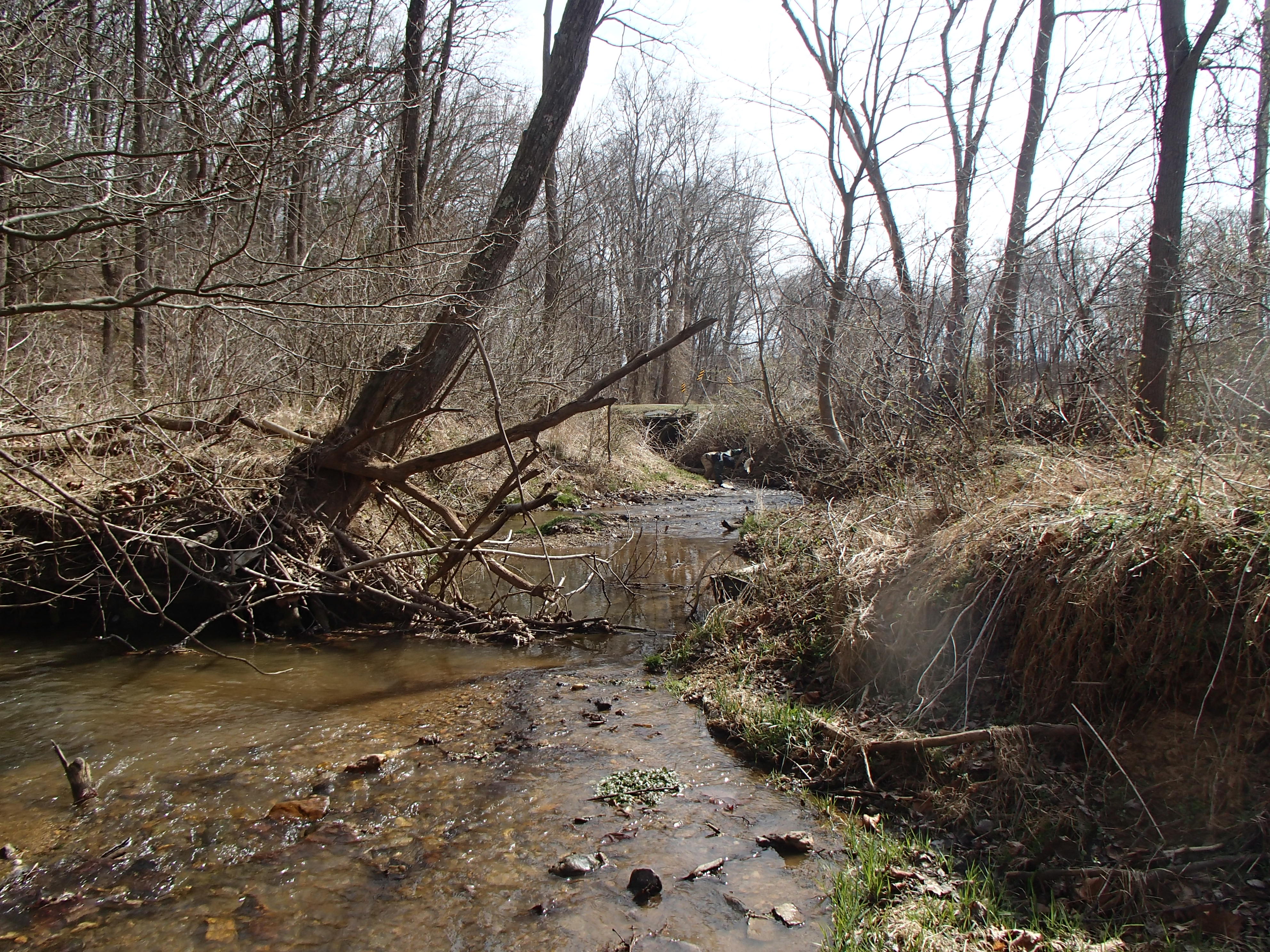 Field photo showing stream conditions at site DEER-114-R-2017-MidpointLookingDownstream