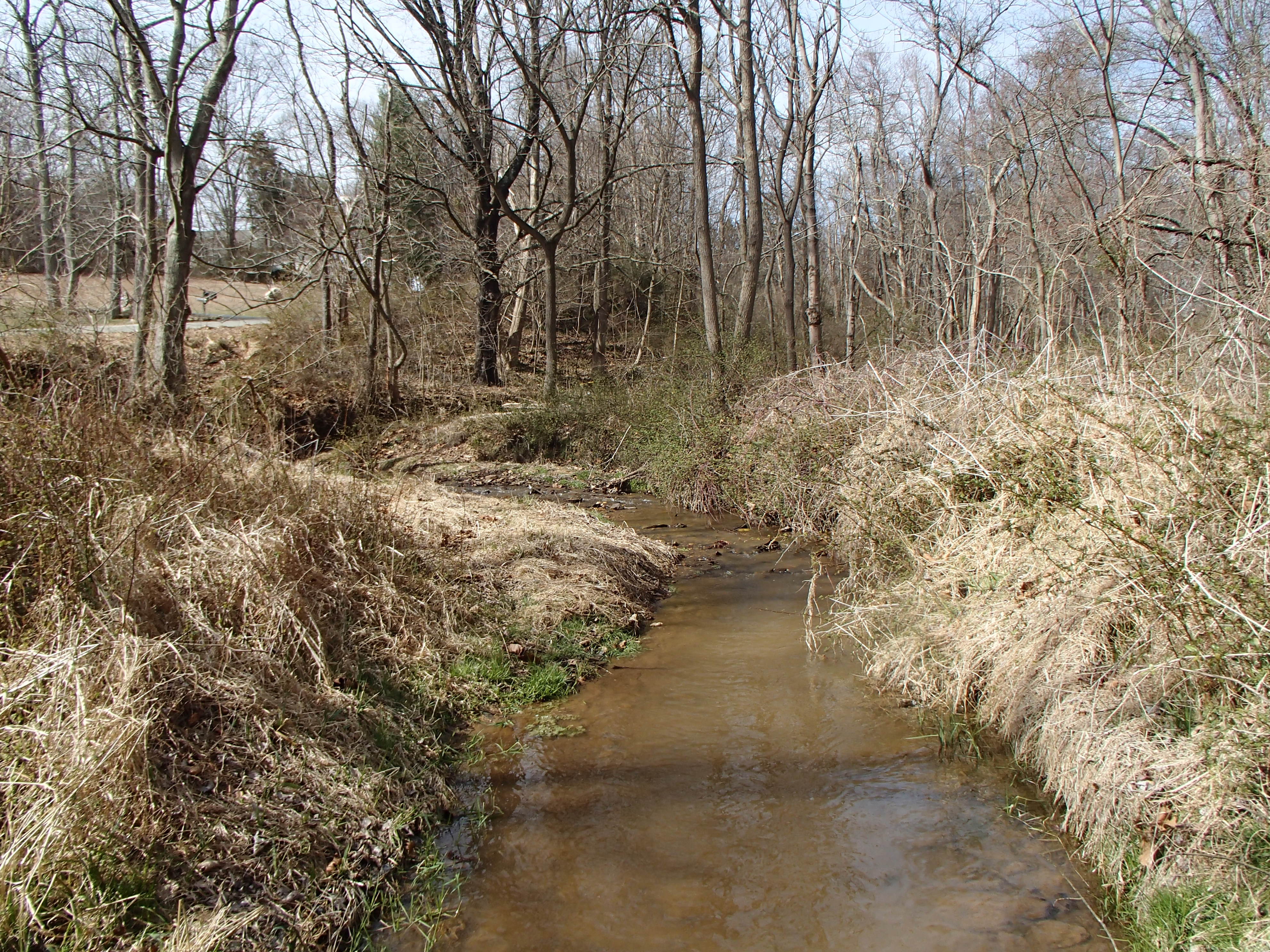 Field photo showing stream conditions at site DEER-114-R-2017-MidpointLookingUpstream