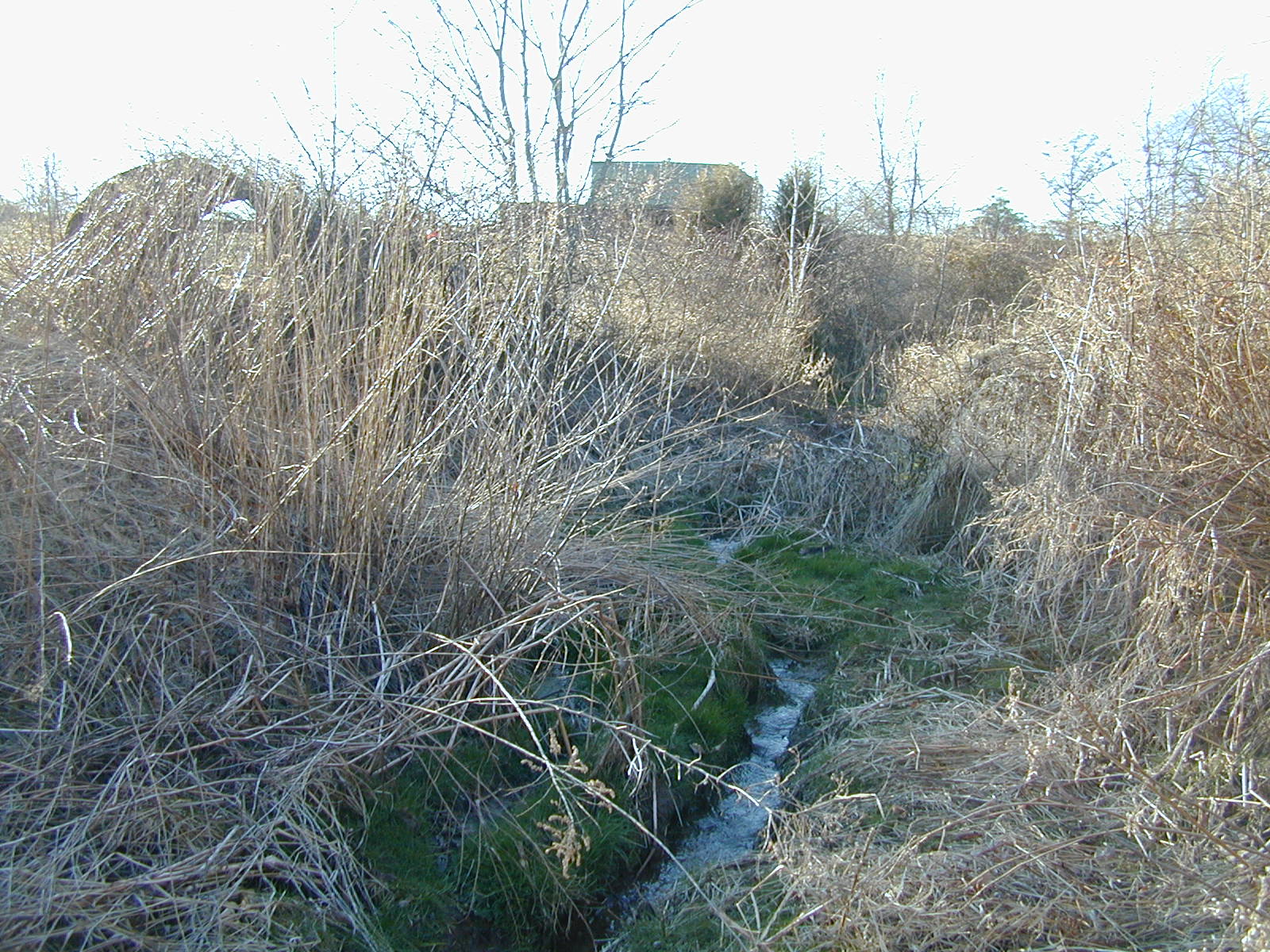Field photo showing stream conditions at site DEER-117-R-2001-2