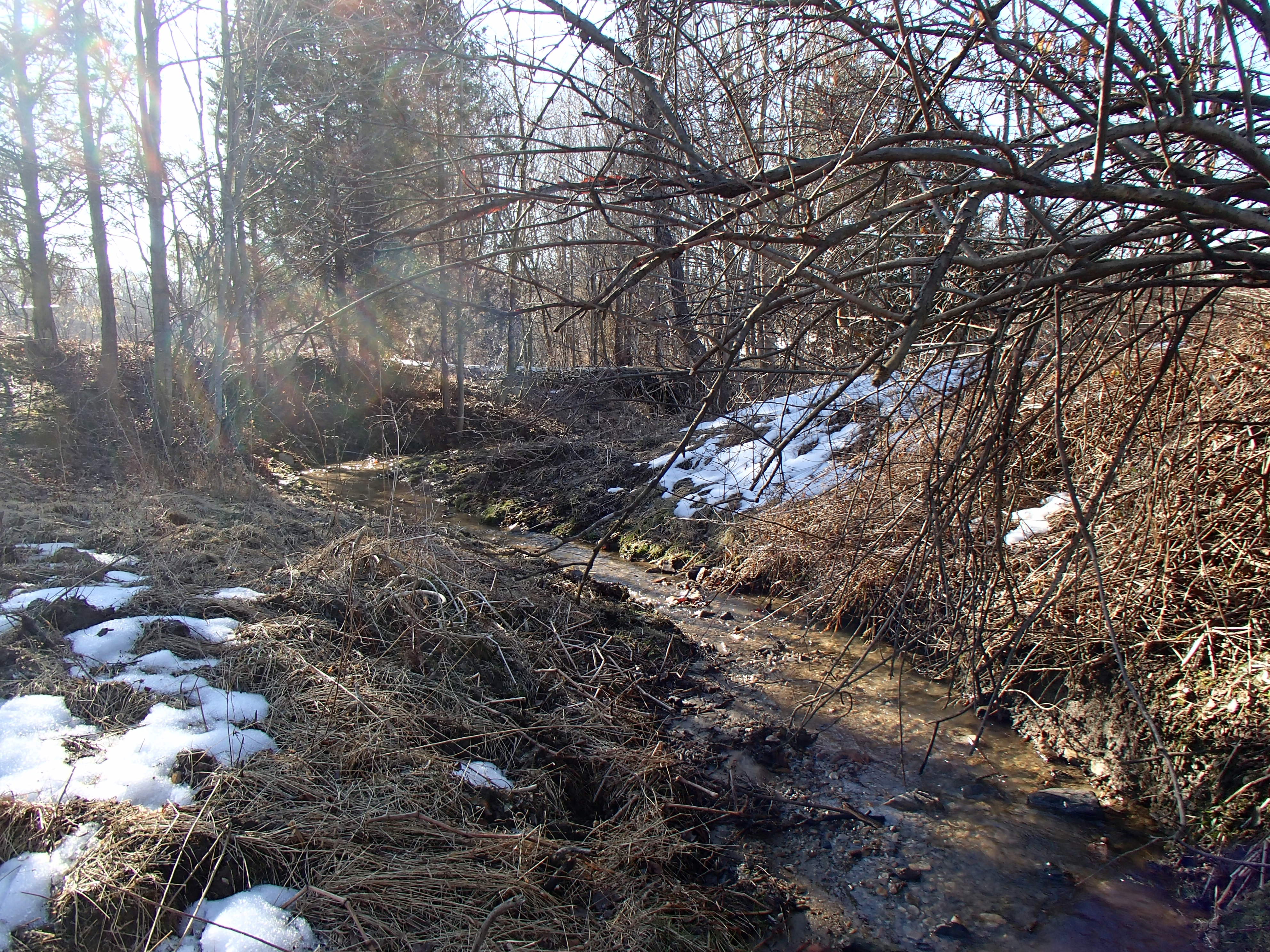 Field photo showing stream conditions at site DEER-117-R-2015_Midpoint-looking-downstream