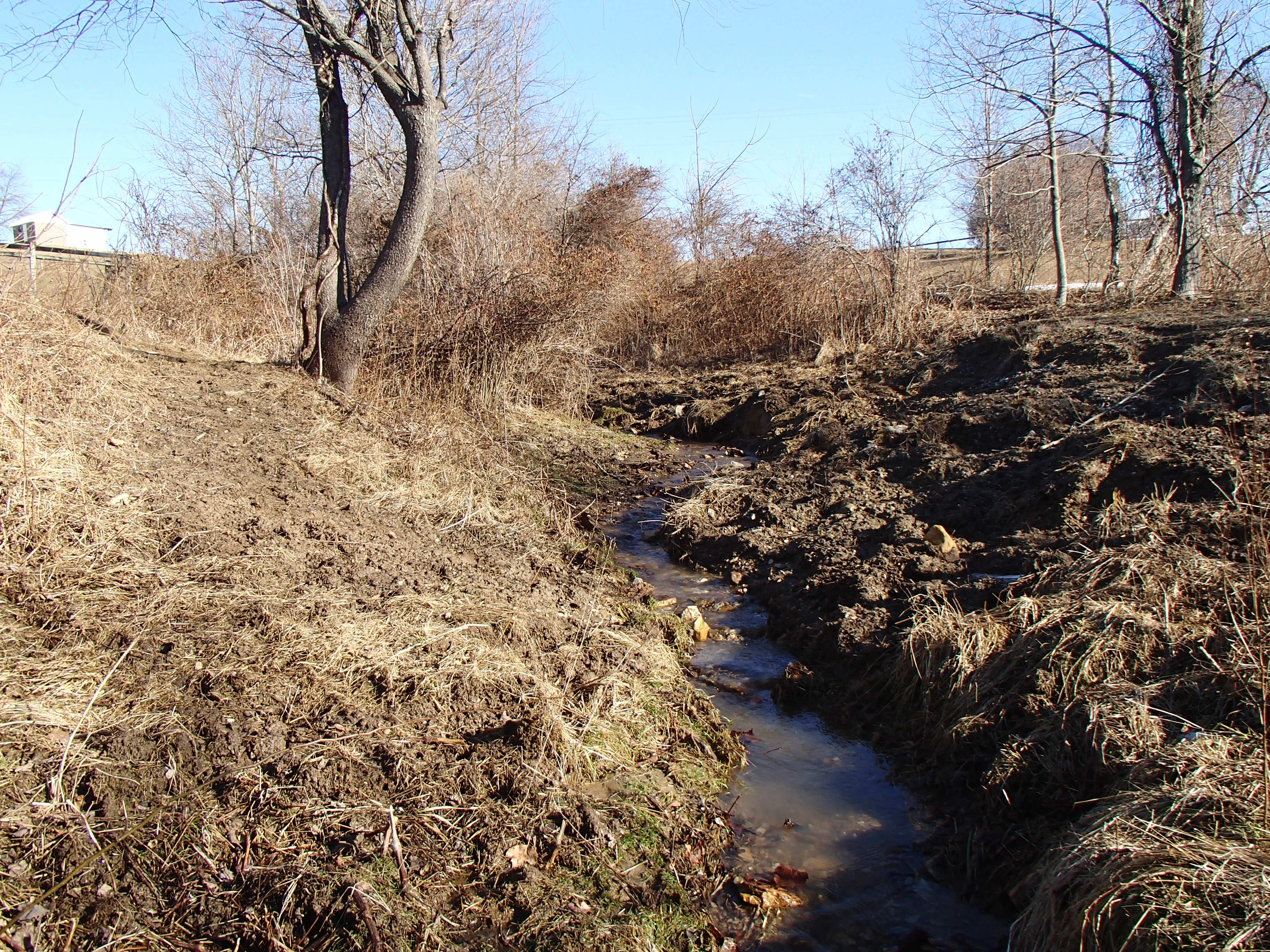 Field photo showing stream conditions at site DEER-117-R-2015_Midpoint-looking-upstream