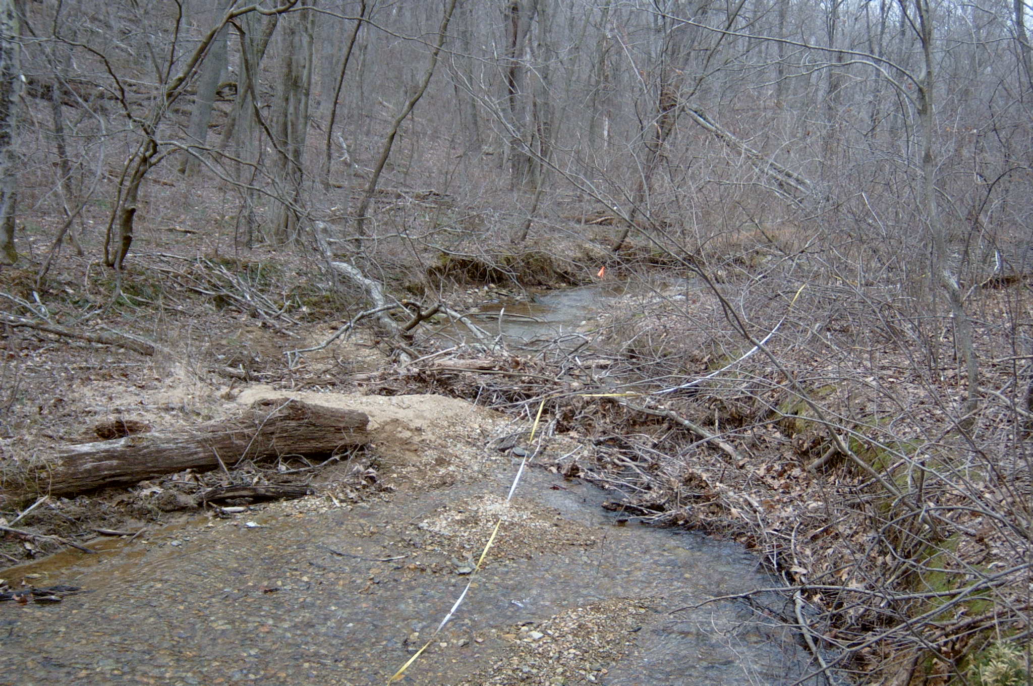 Field photo showing stream conditions at site DEER-118-R-2004-50