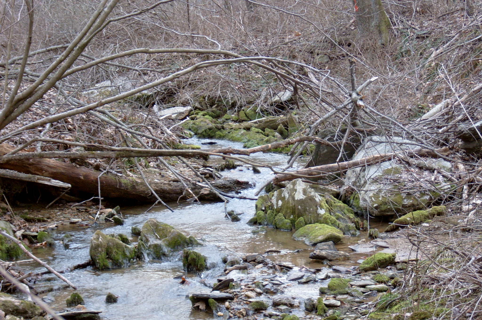 Field photo showing stream conditions at site DEER-118-R-2004-51