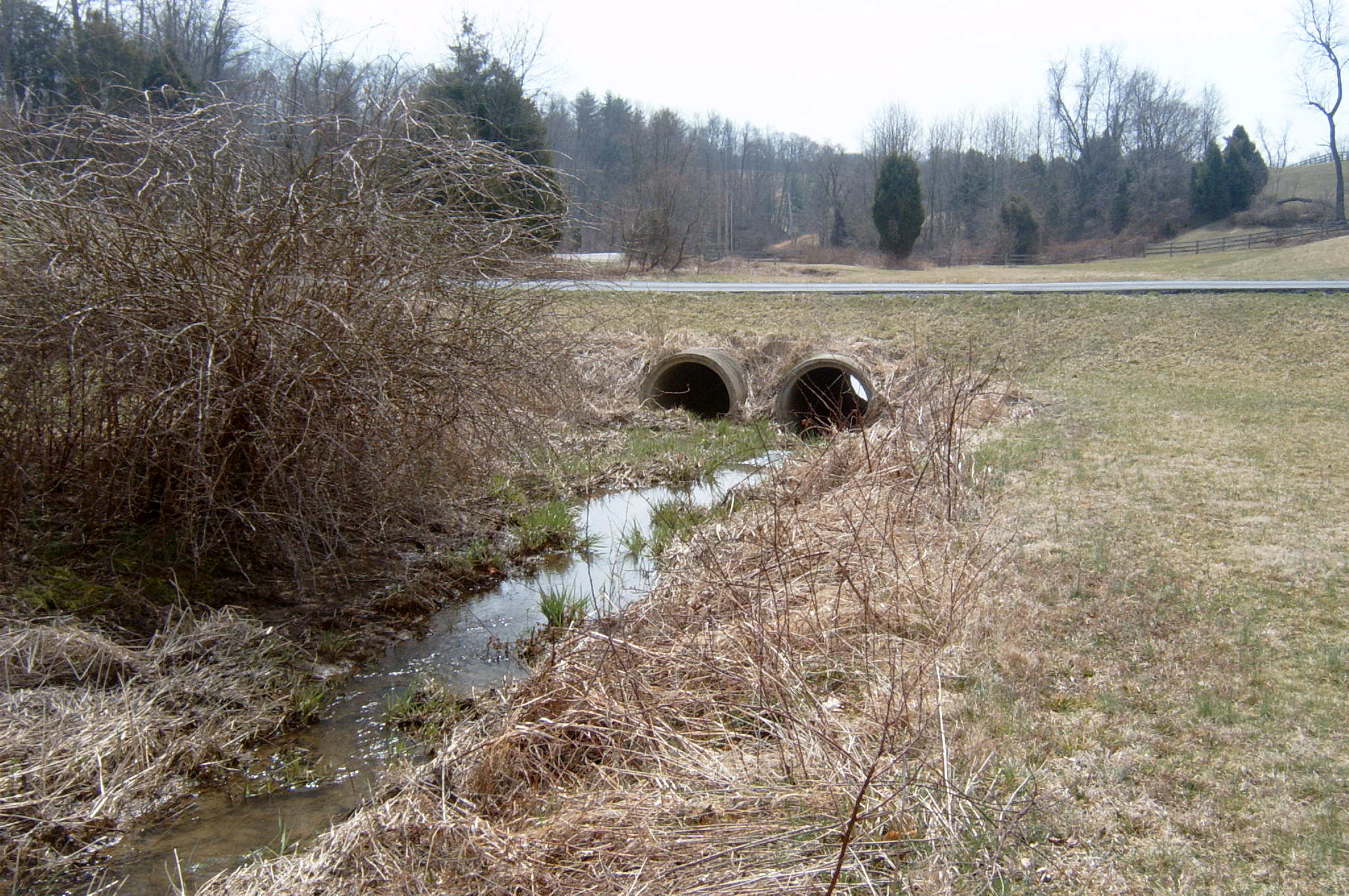 Field photo showing stream conditions at site DEER-119-R-2004-54