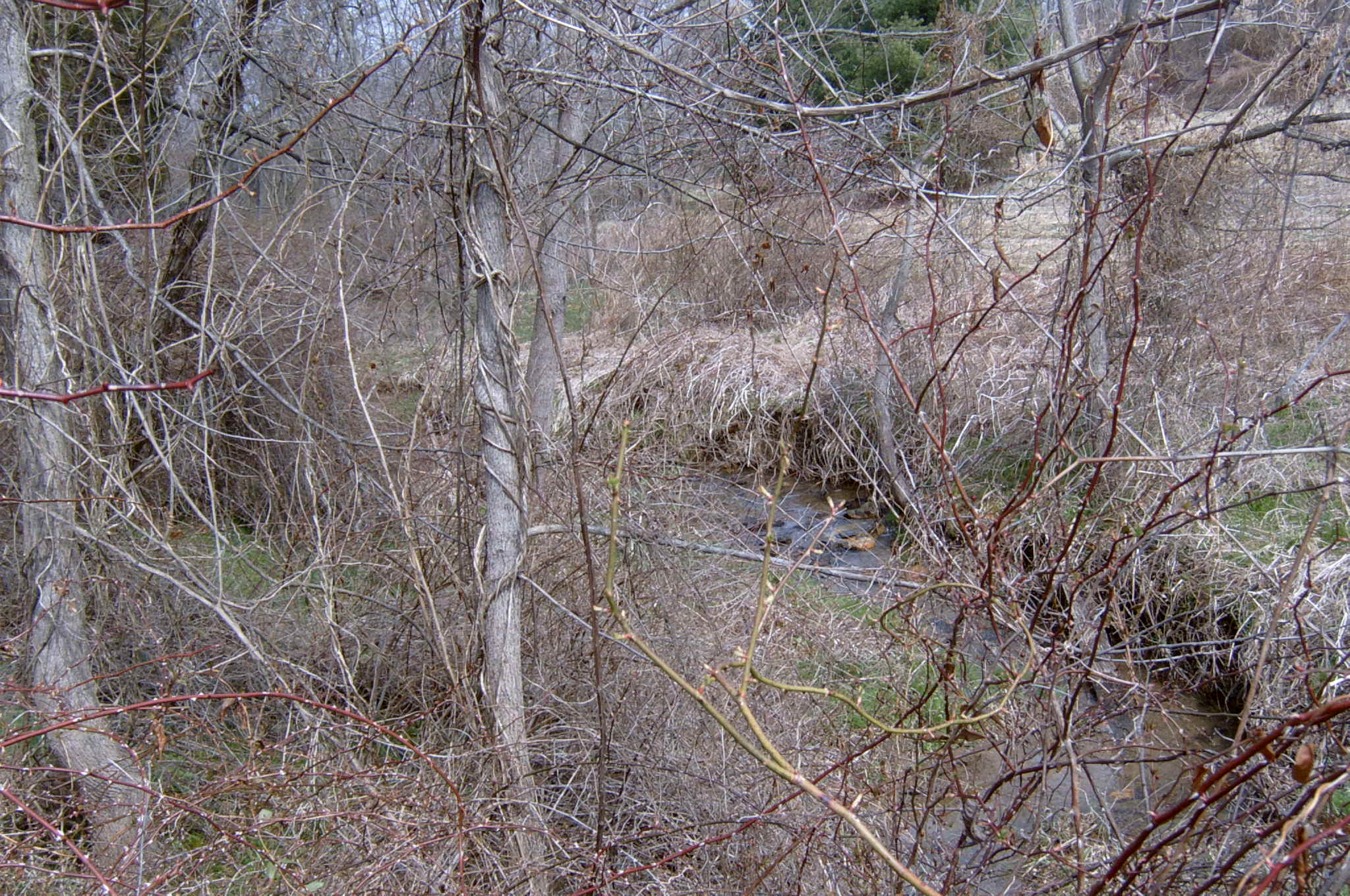 Field photo showing stream conditions at site DEER-119-R-2004-55