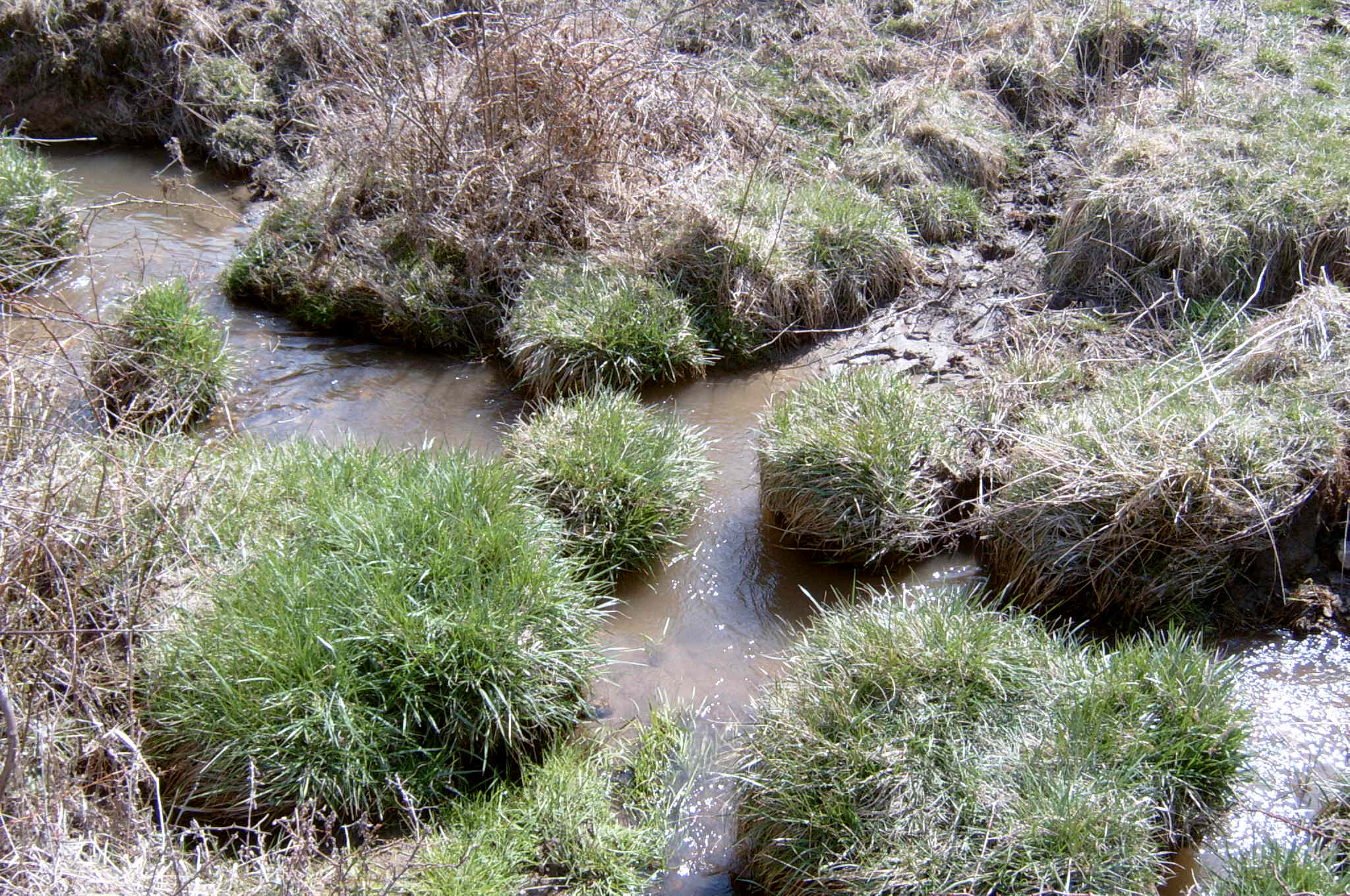Field photo showing stream conditions at site DEER-120-R-2004-36