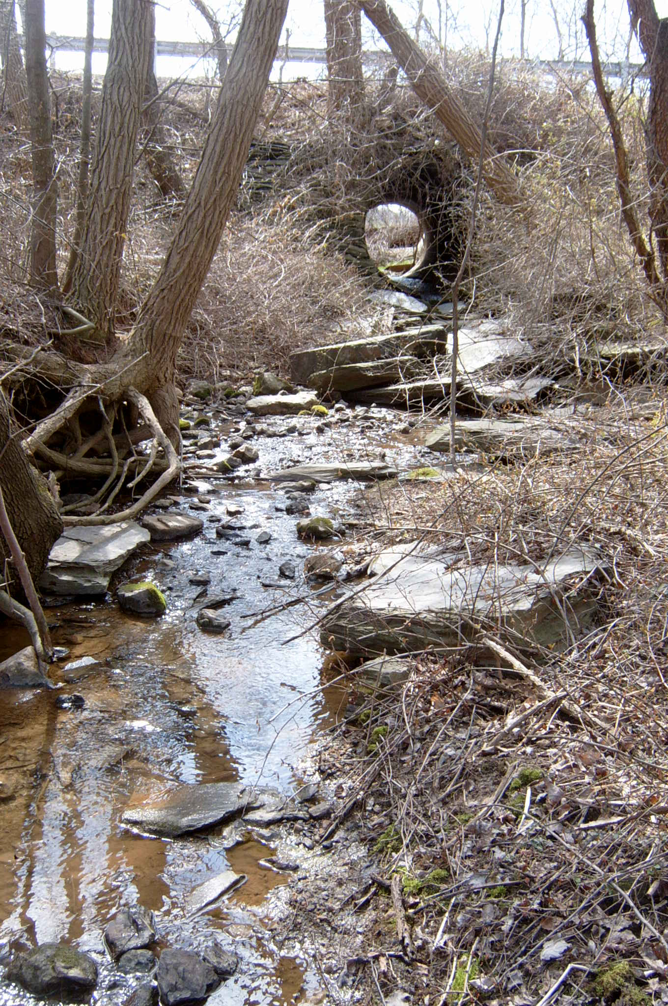 Field photo showing stream conditions at site DEER-121-R-2004-37