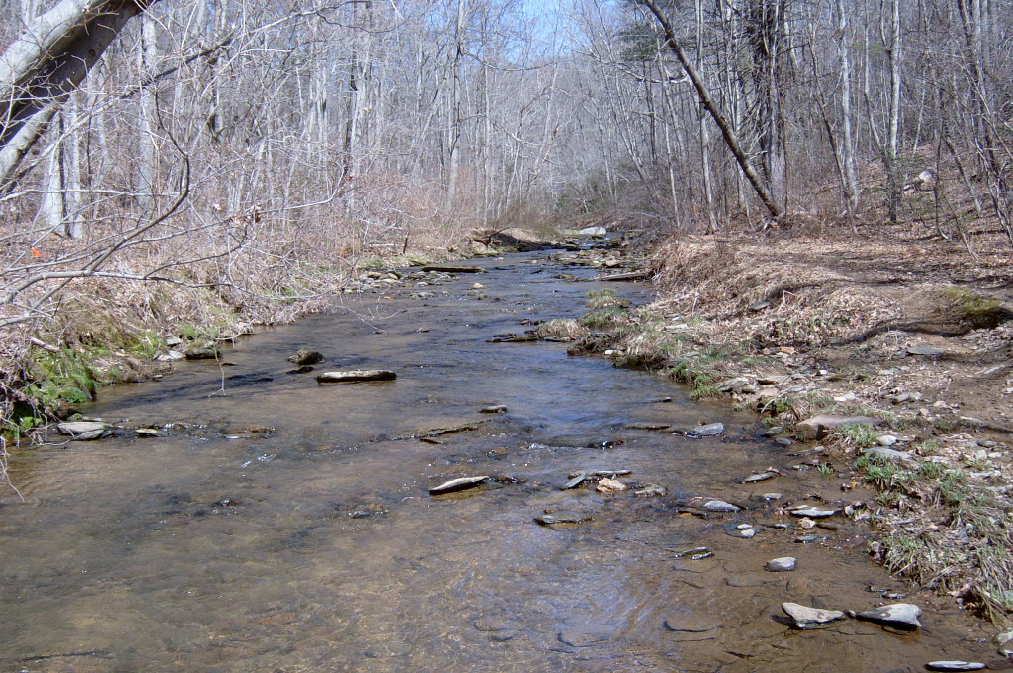 Field photo showing stream conditions at site DEER-123-R-2004-64