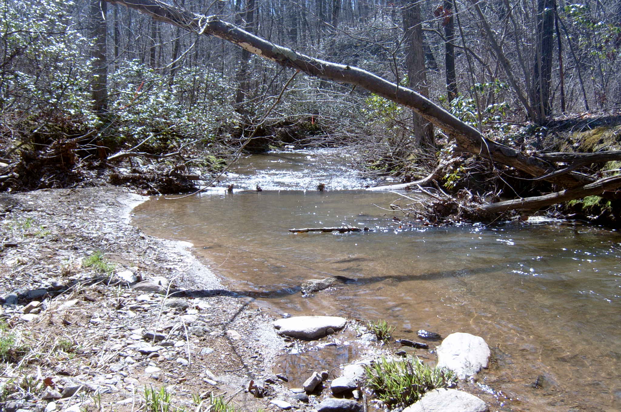 Field photo showing stream conditions at site DEER-123-R-2004-65
