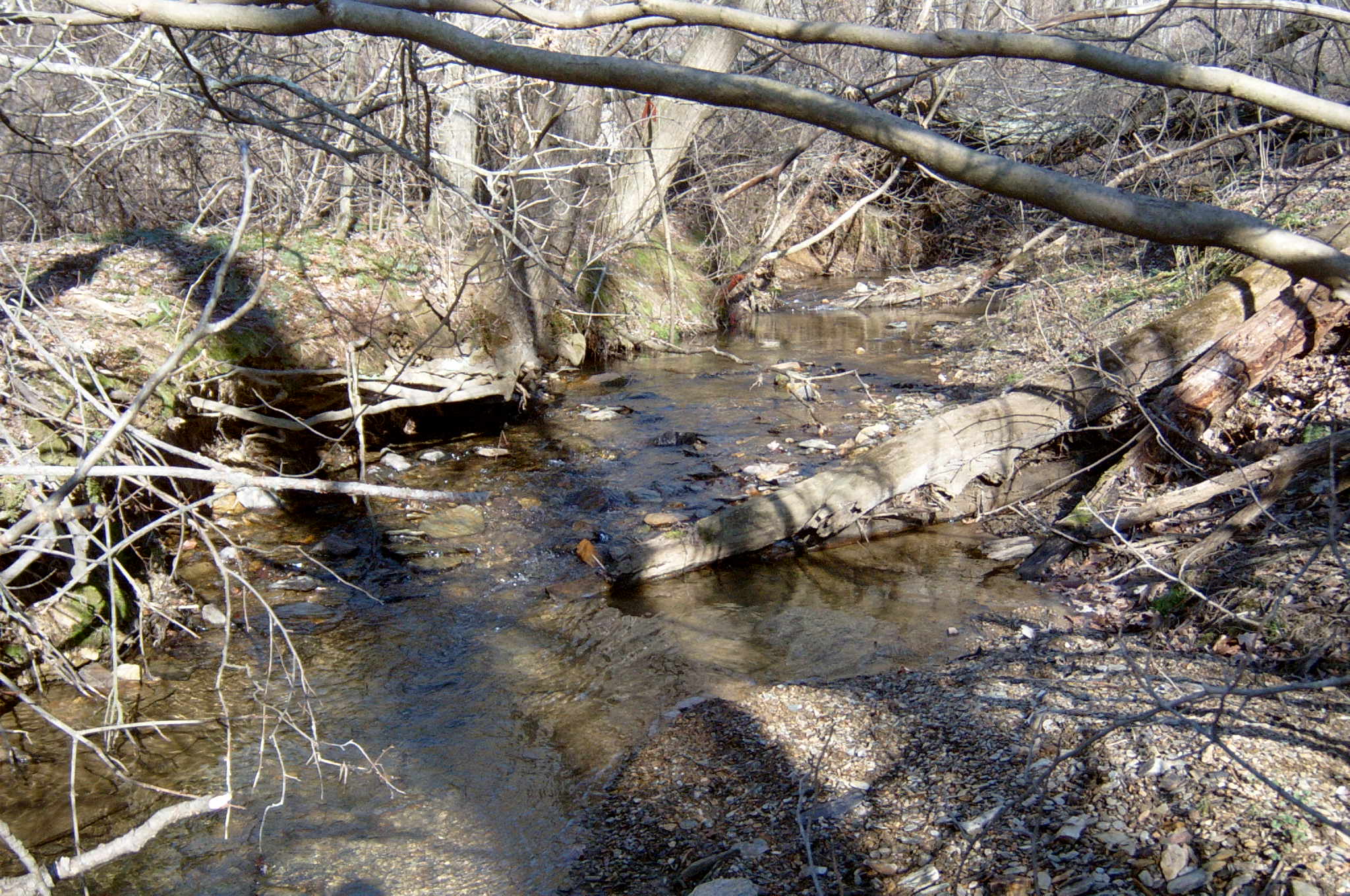 Field photo showing stream conditions at site DEER-125-R-2004-31