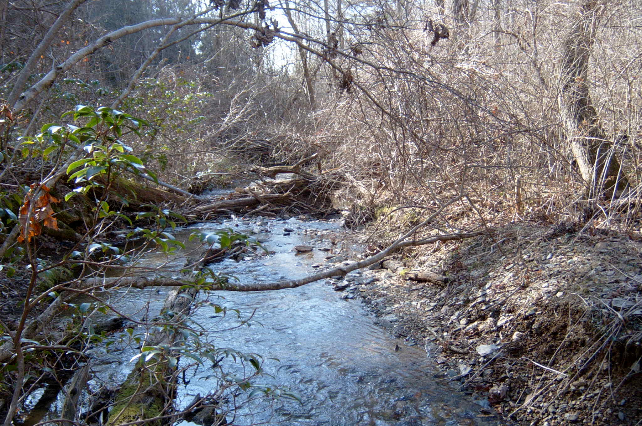 Field photo showing stream conditions at site DEER-125-R-2004-32