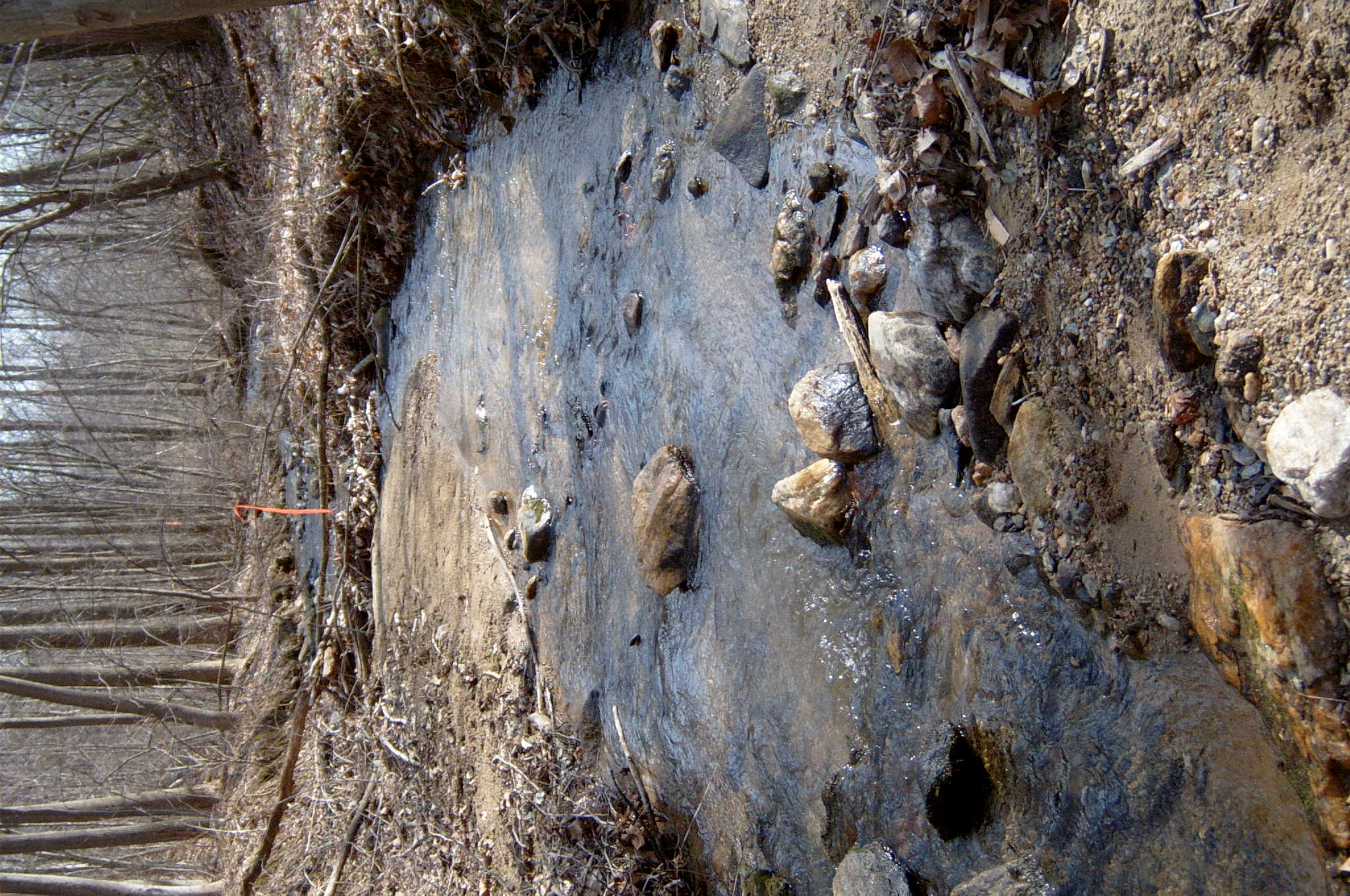 Field photo showing stream conditions at site DEER-126-R-2004-33