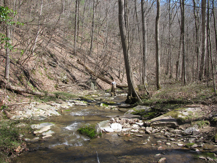 Field photo showing stream conditions at site DEER-202-H-2010-1
