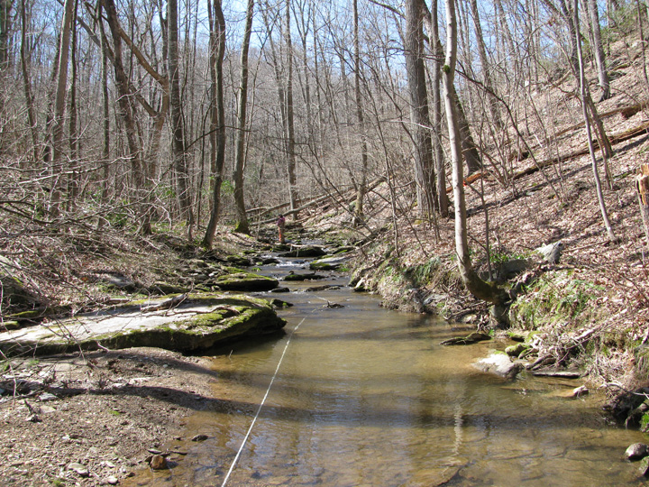 Field photo showing stream conditions at site DEER-202-H-2010-2