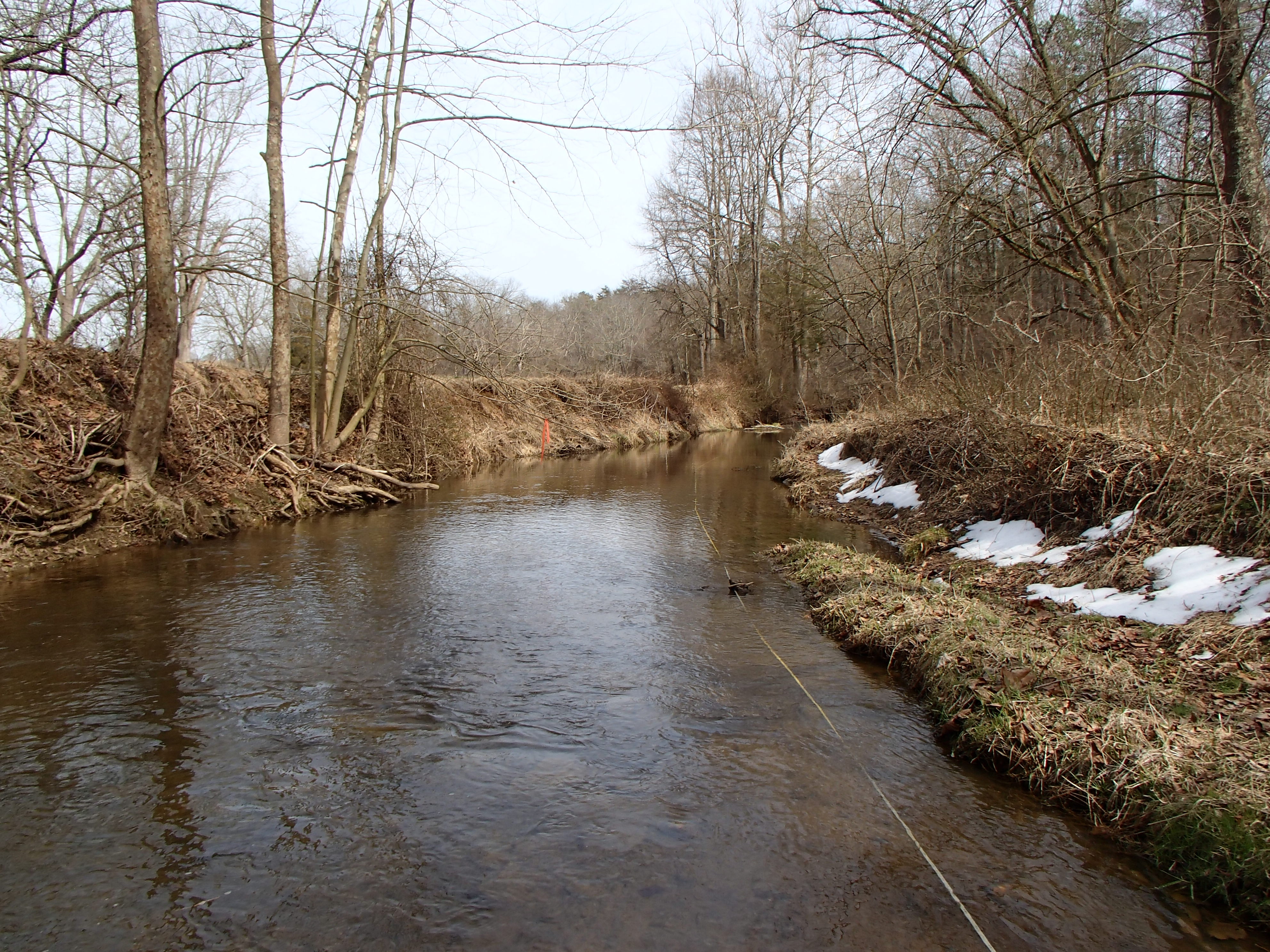 Field photo showing stream conditions at site DEER-203-R-2017-MidpointLookingDownstream