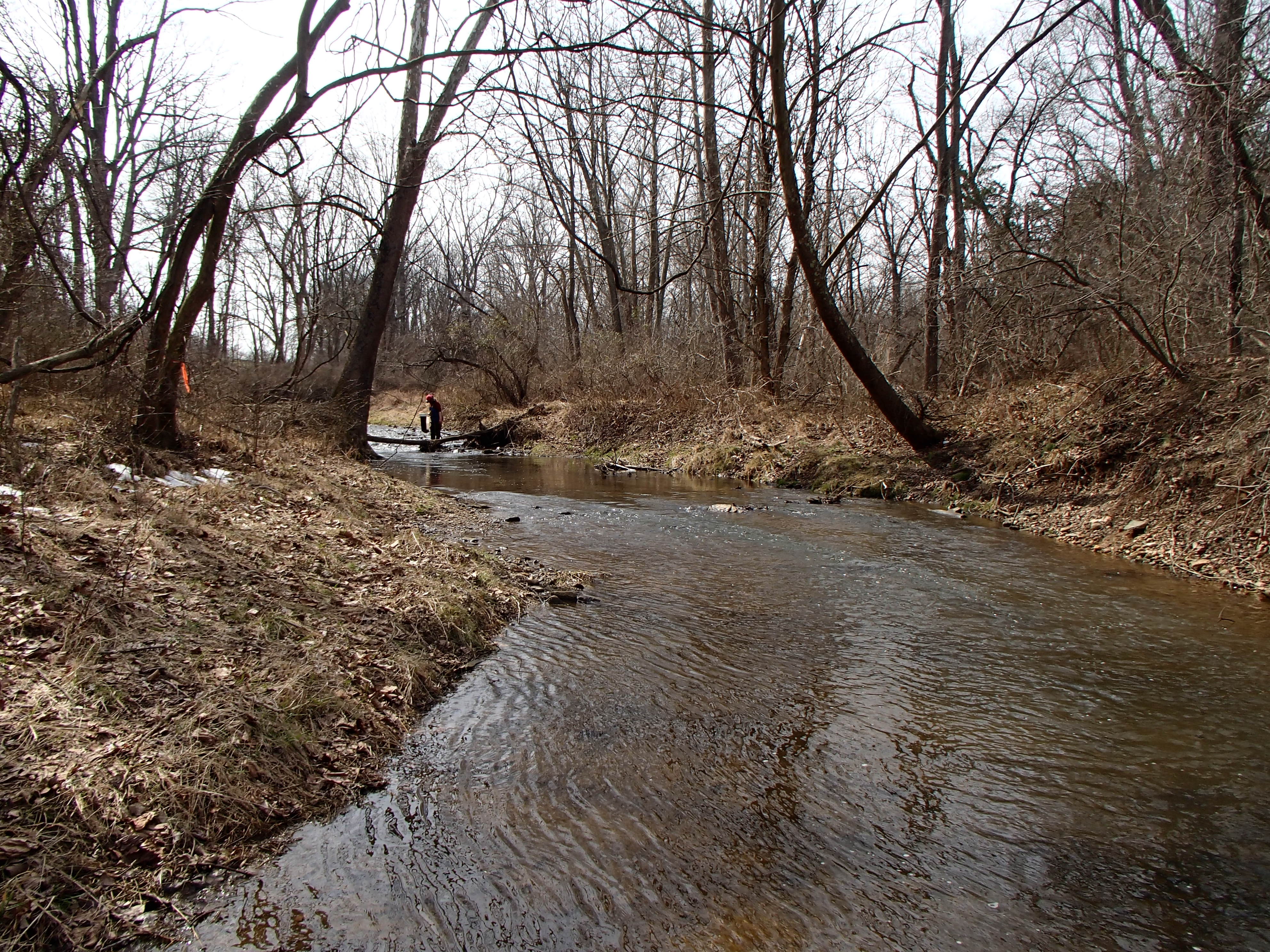 Field photo showing stream conditions at site DEER-203-R-2017-MidpointLookingUpstream