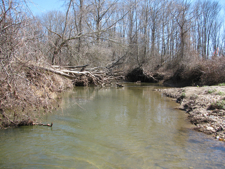 Field photo showing stream conditions at site DEER-207-H-2010-1