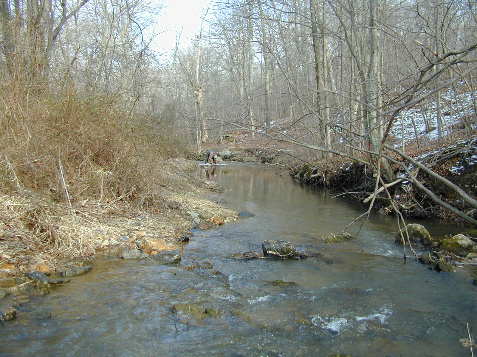 Field photo showing stream conditions at site DEER-207-R-2001-1
