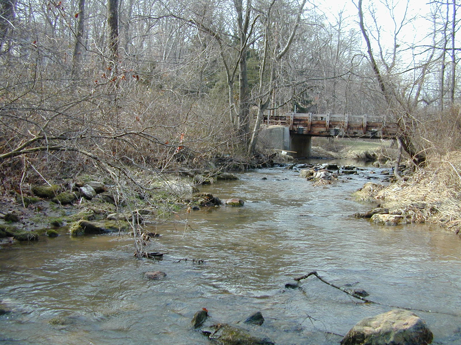 Field photo showing stream conditions at site DEER-207-R-2001-2