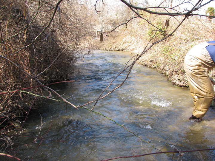 Field photo showing stream conditions at site DEER-208-H-2010-1