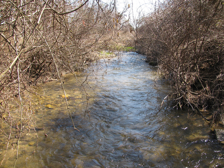 Field photo showing stream conditions at site DEER-208-H-2010-2