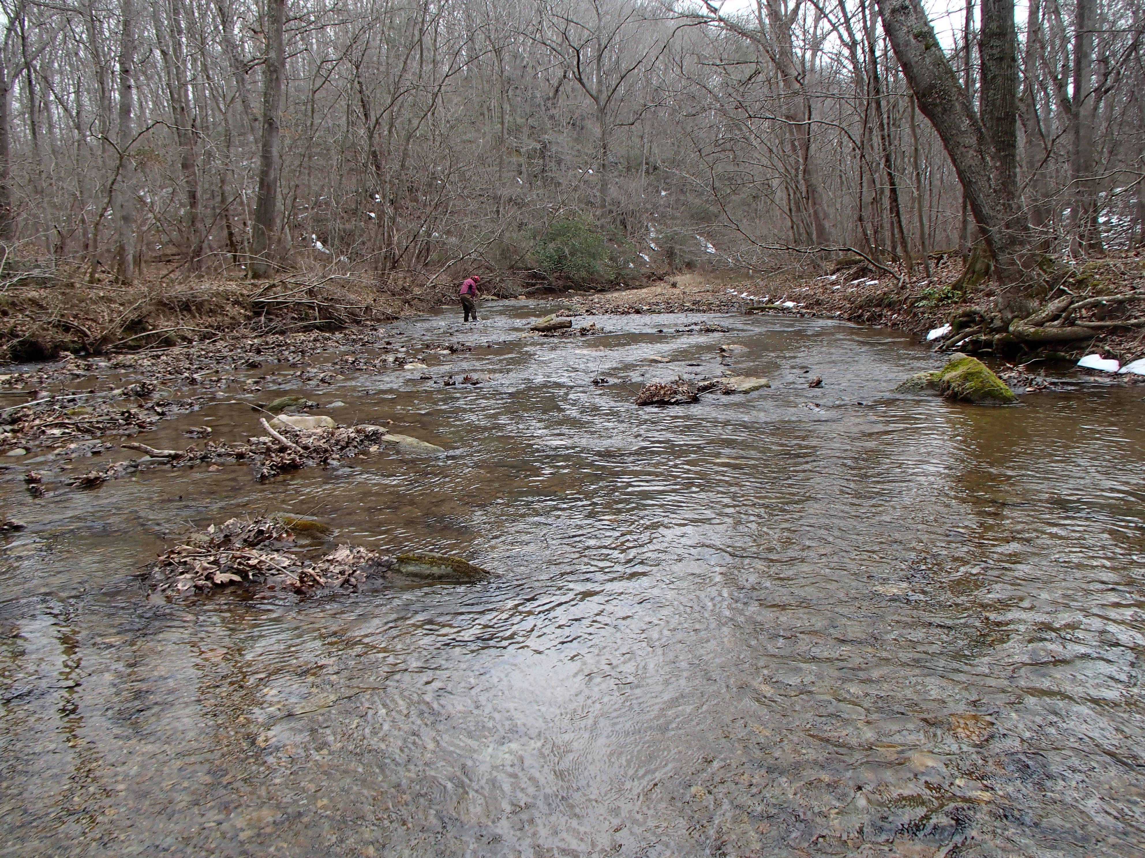 Field photo showing stream conditions at site DEER-209-R-2017-MidpointFacingDownstream