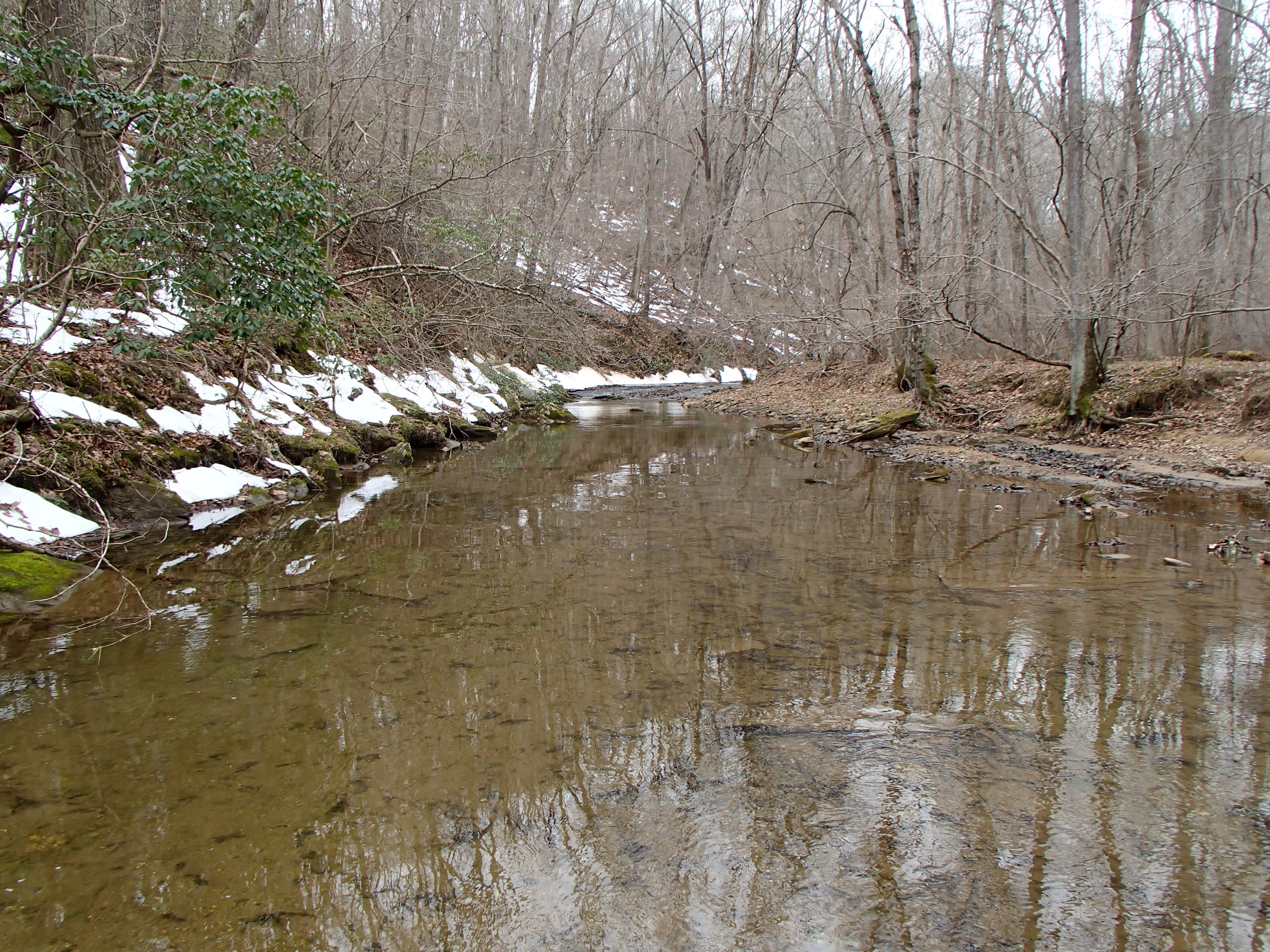 Field photo showing stream conditions at site DEER-209-R-2017-MidpointFacingUpstream
