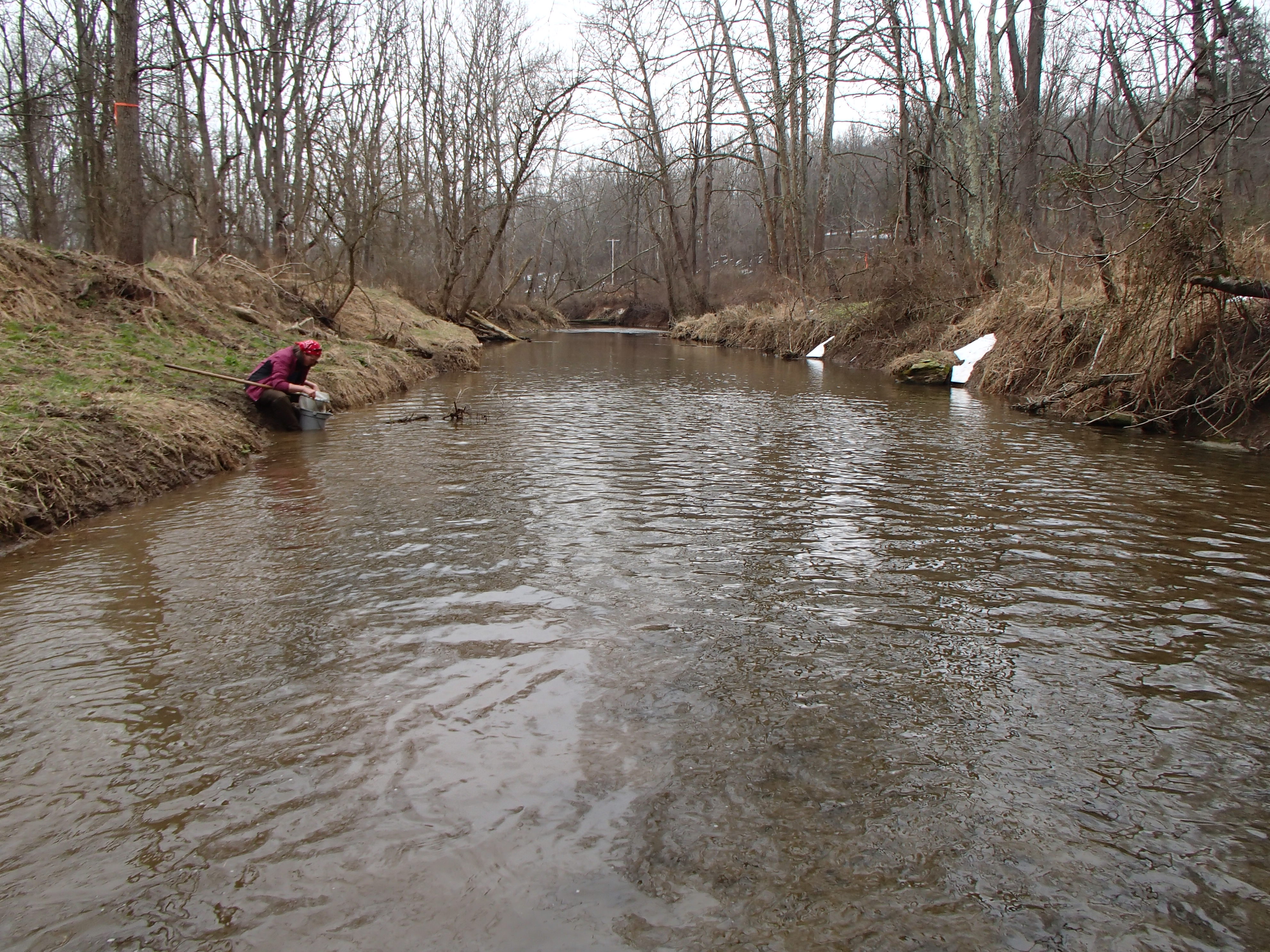 Field photo showing stream conditions at site DEER-212-R-2017-MidpointFacingDownstream