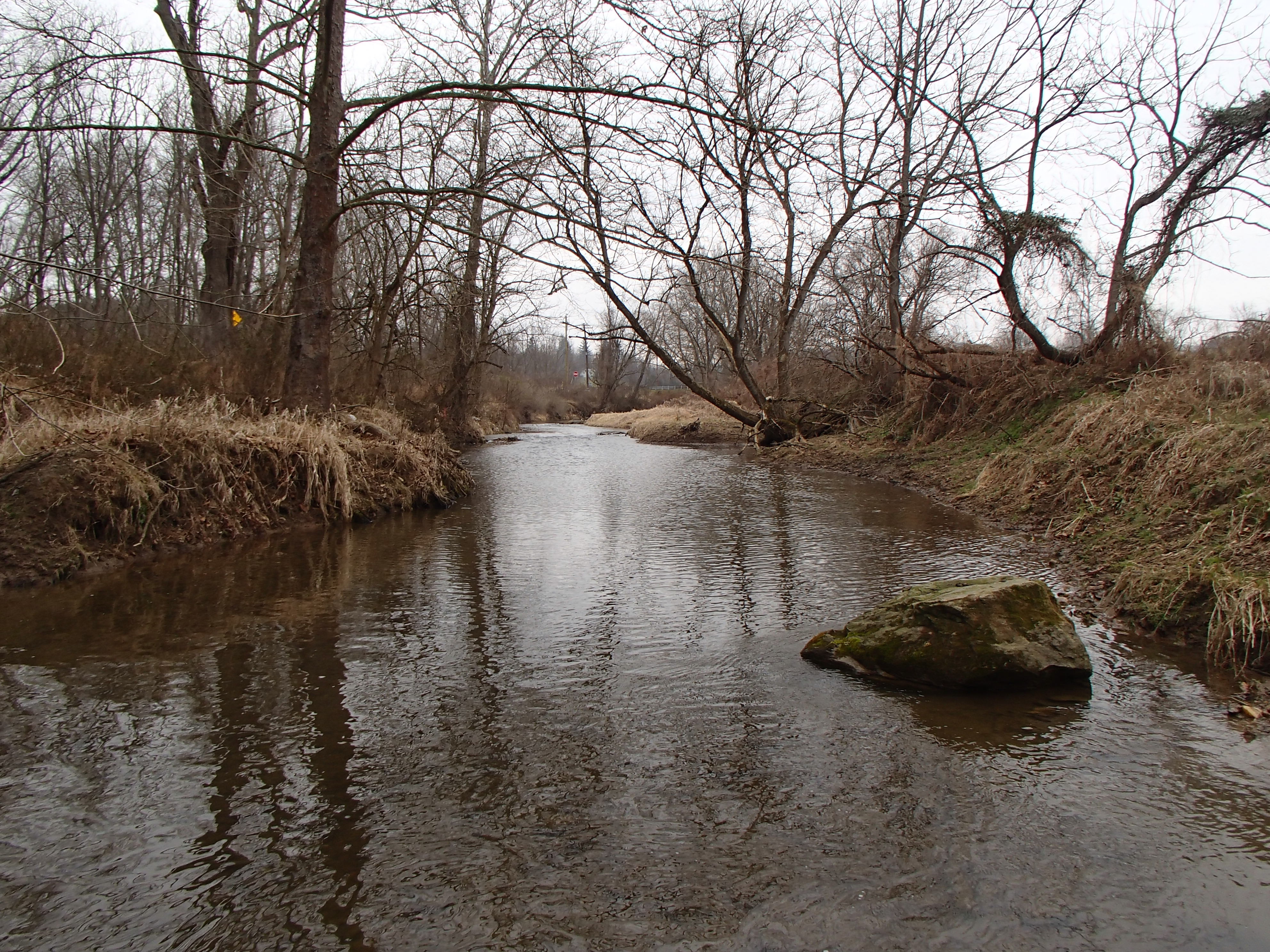Field photo showing stream conditions at site DEER-212-R-2017-MidpointFacingUpstream