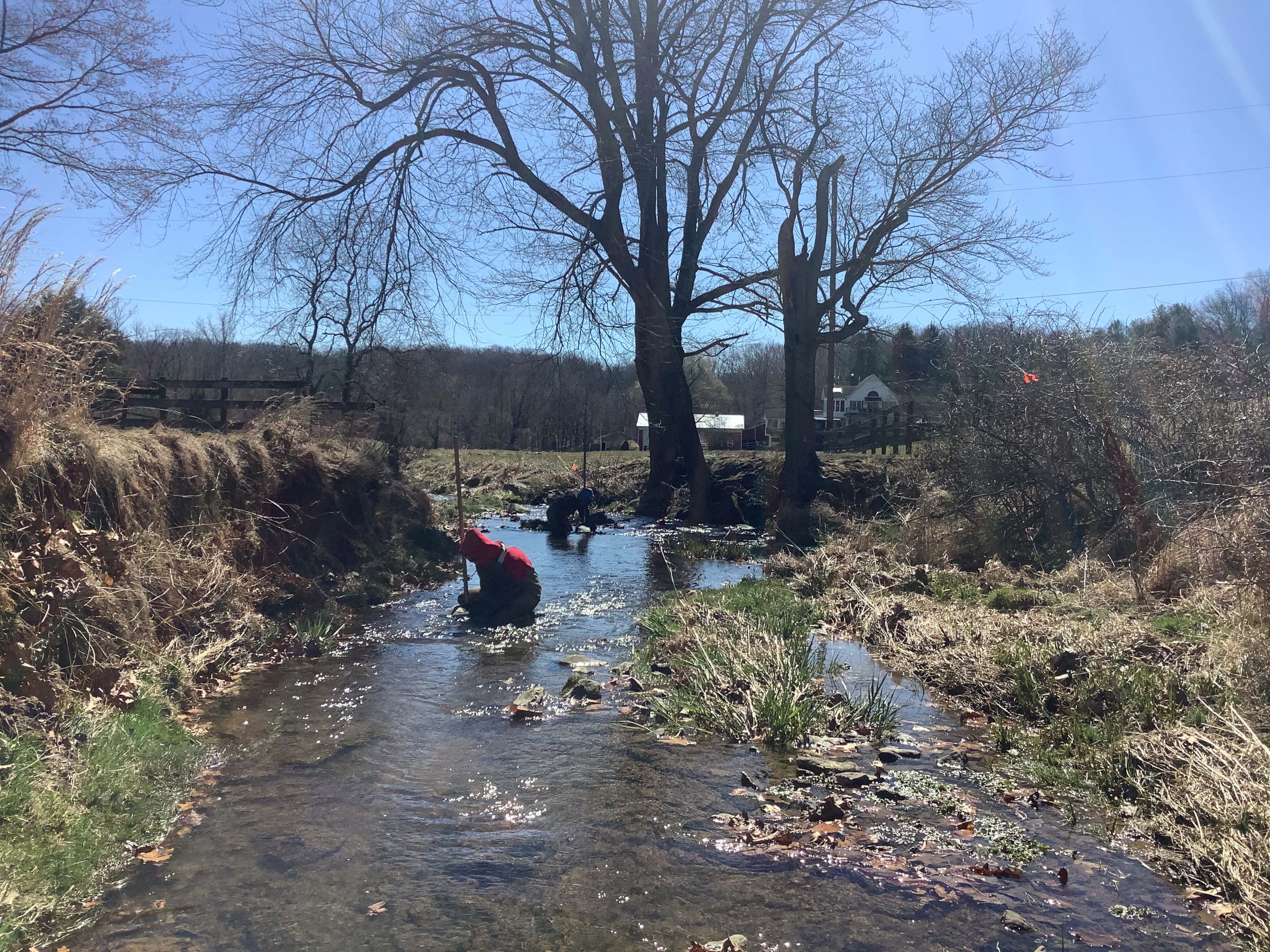 Field photo showing stream conditions at site DEER-221-R-2023_Midpoint_facing_downstream
