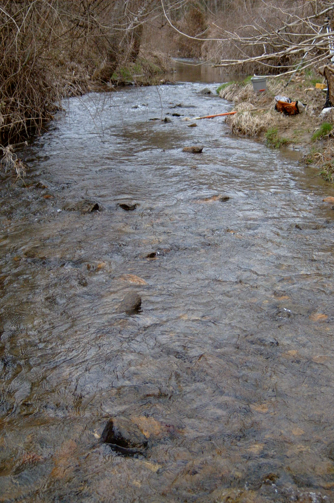 Field photo showing stream conditions at site DEER-228-R-2004-52
