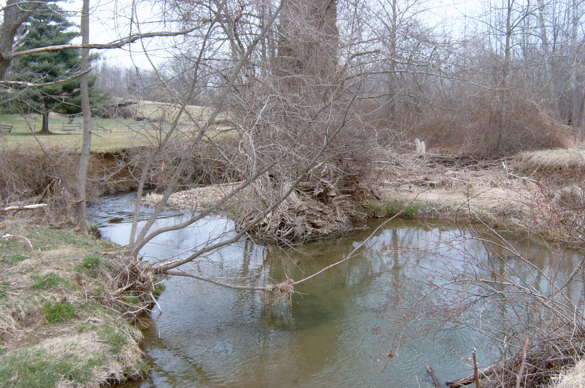 Field photo showing stream conditions at site DEER-228-R-2004-53