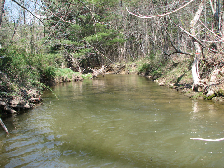Field photo showing stream conditions at site DEER-247-A-2007-1