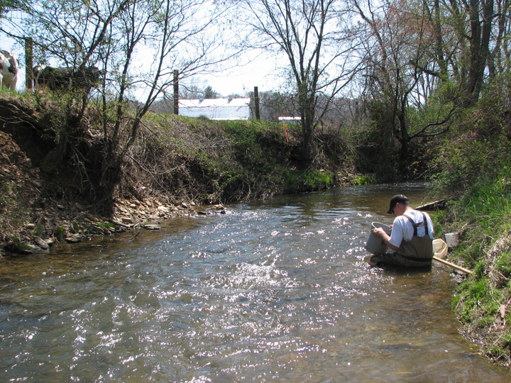 Field photo showing stream conditions at site DEER-247-A-2007-2