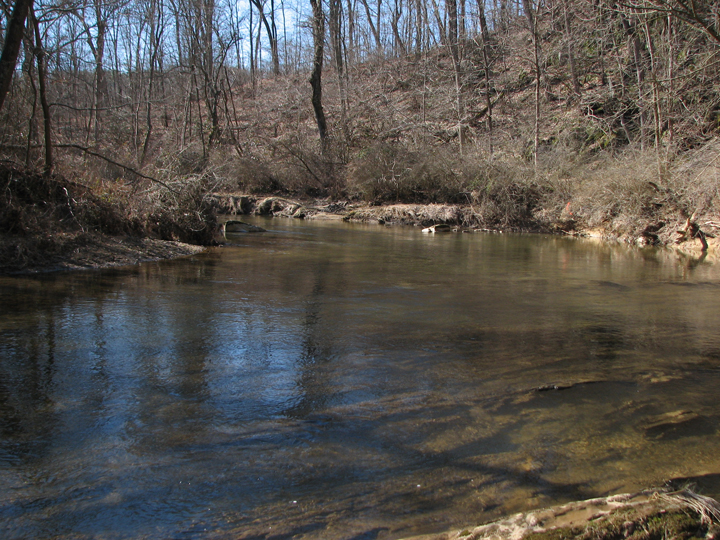 Field photo showing stream conditions at site DEER-301-R-2008-2