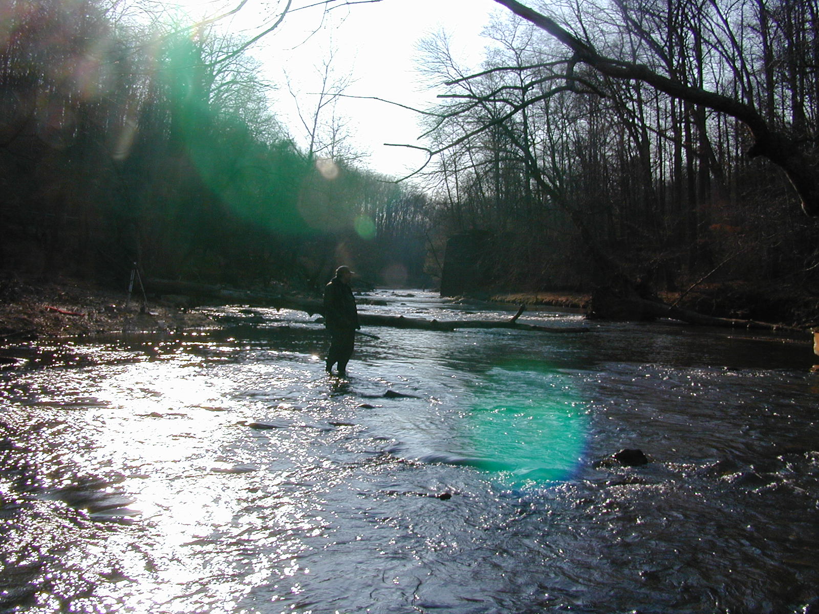 Field photo showing stream conditions at site DEER-302-R-2001-1