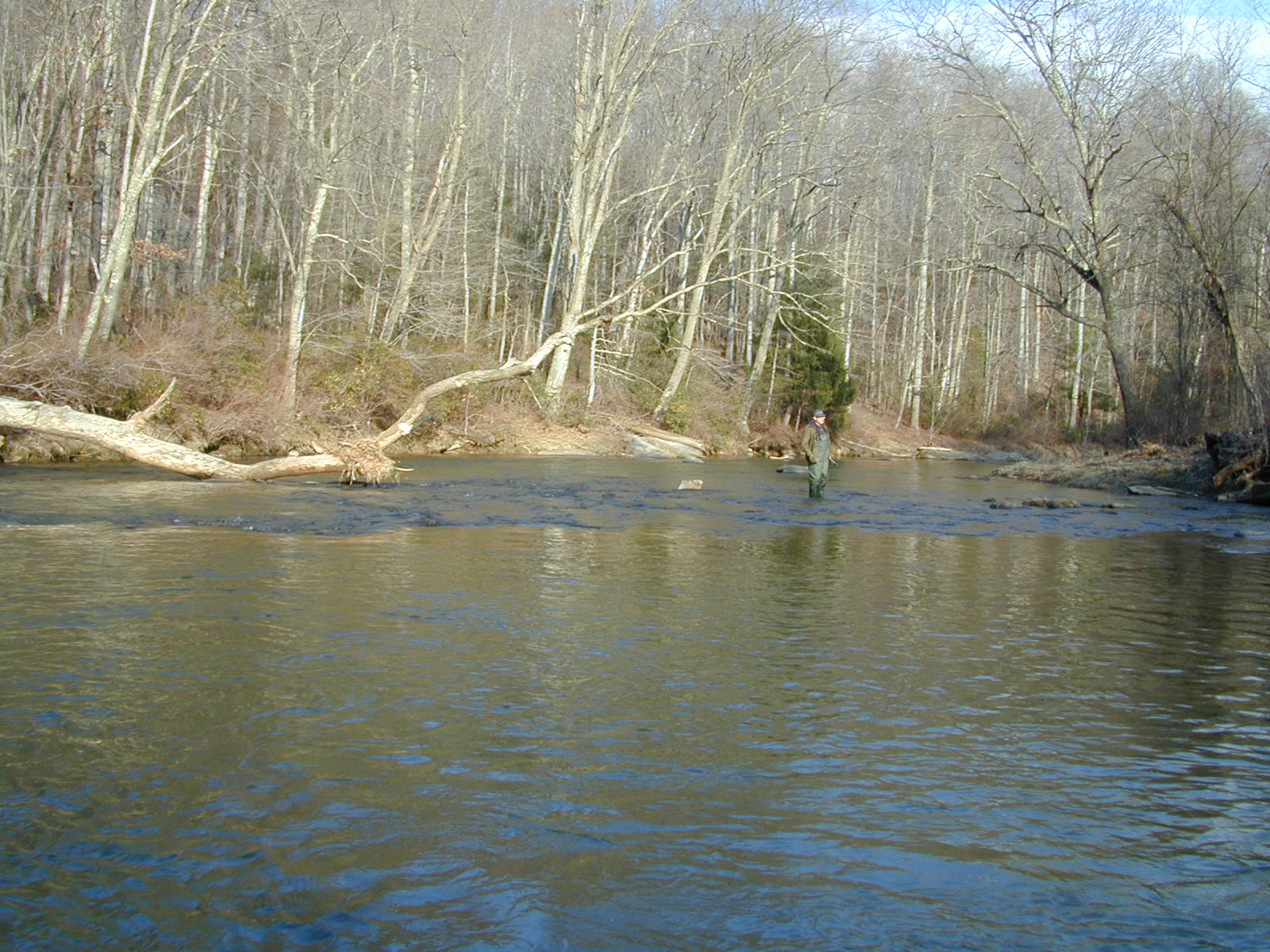 Field photo showing stream conditions at site DEER-302-R-2001-2