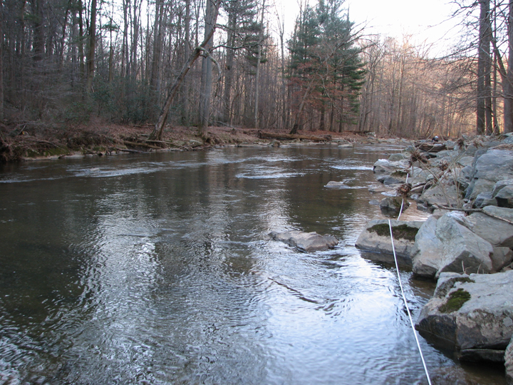 Field photo showing stream conditions at site DEER-302-R-2008-1