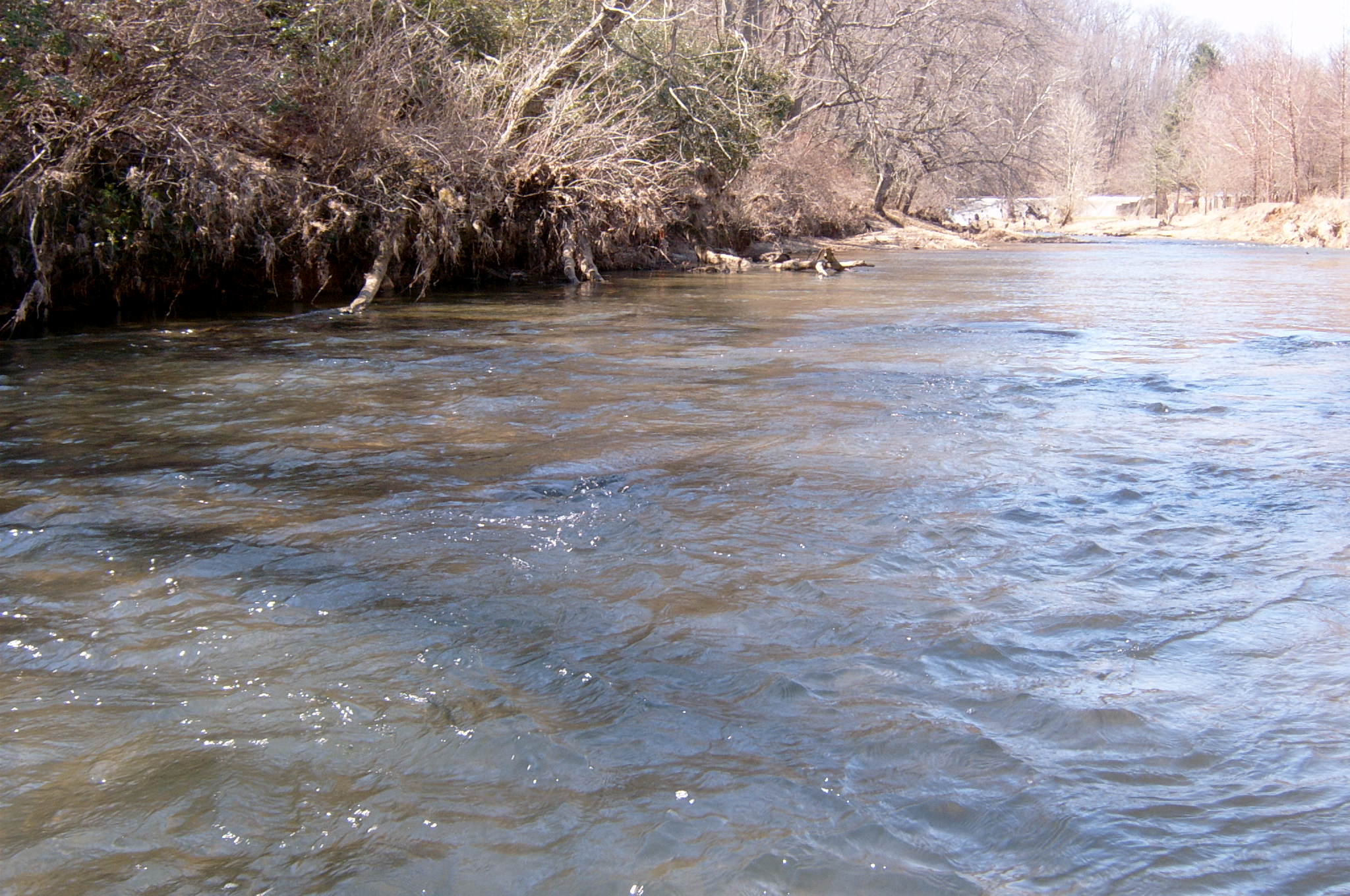 Field photo showing stream conditions at site DEER-303-R-2004-27