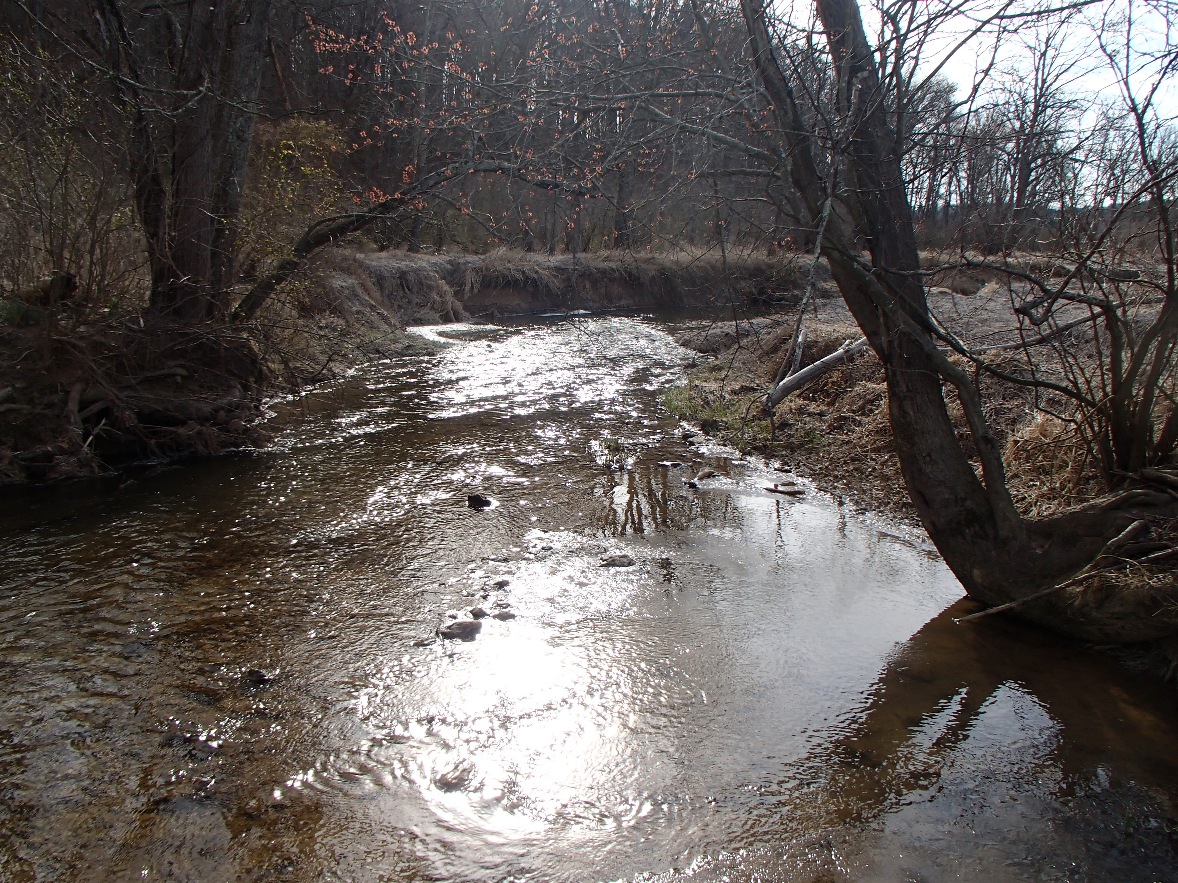 Field photo showing stream conditions at site DEER-304-R-2017-MidpointLookingDownstream