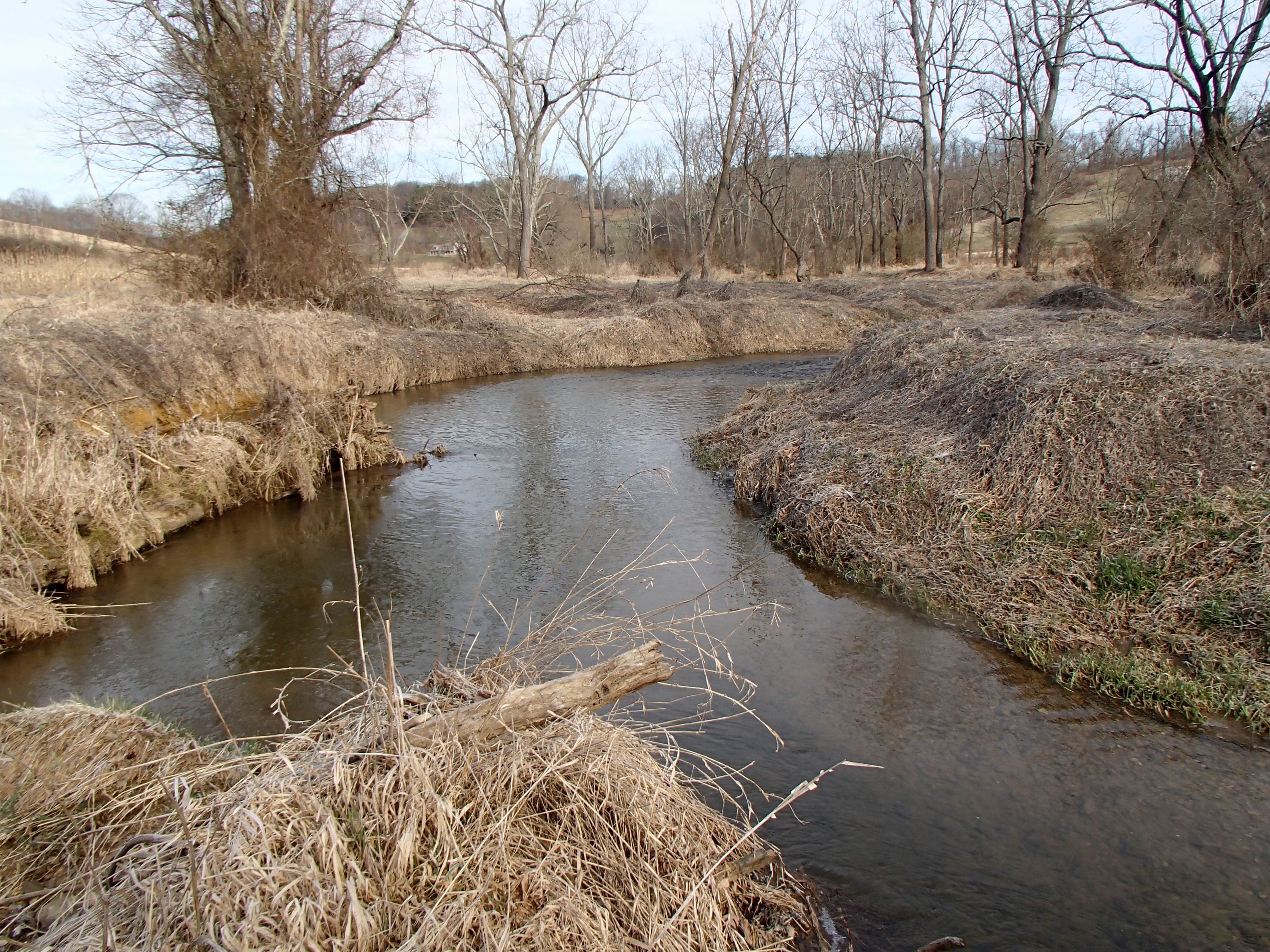 Field photo showing stream conditions at site DEER-304-R-2017-MidpointLookingUpstream