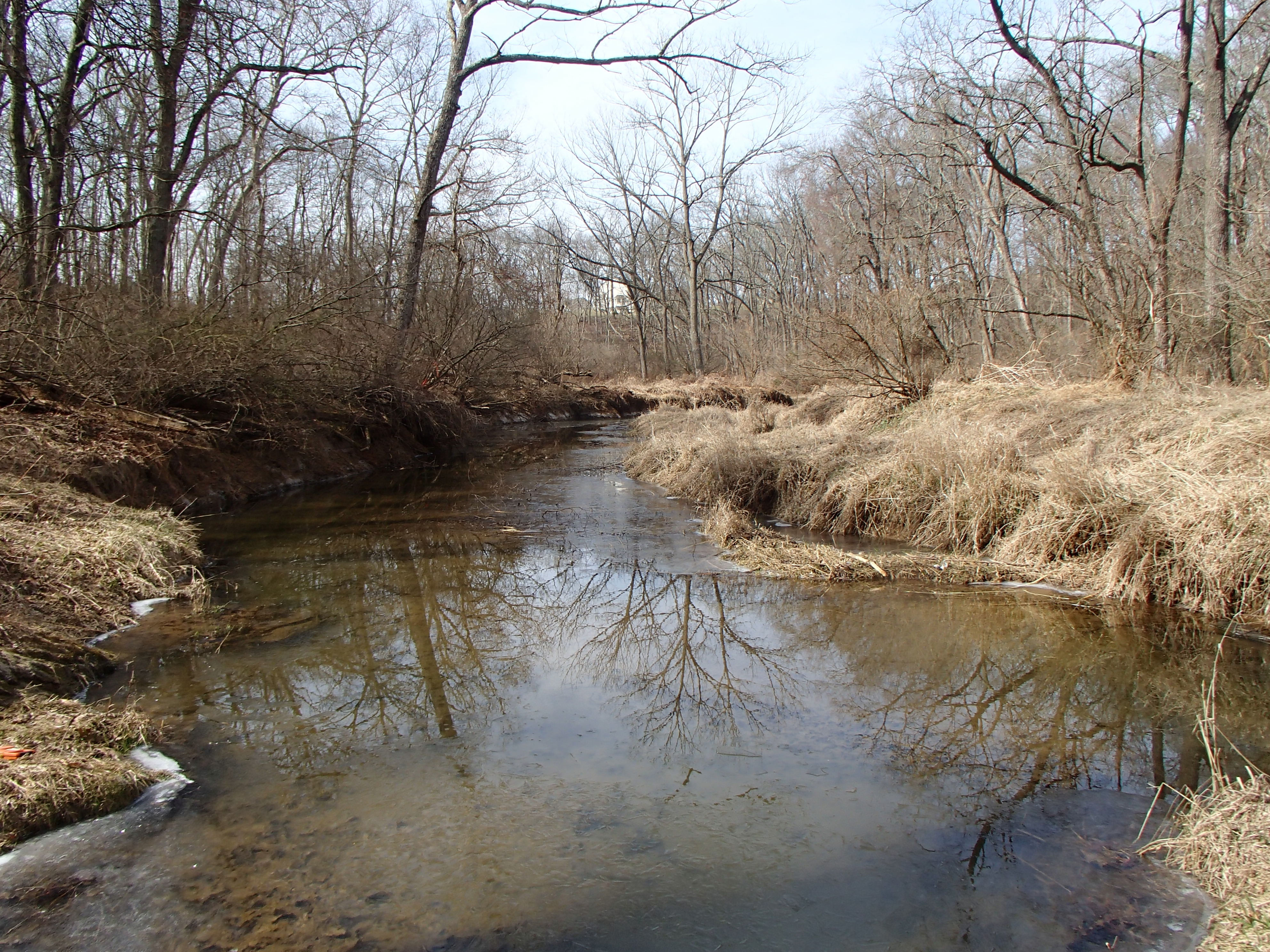 Field photo showing stream conditions at site DEER-314-R-2017-MidpointFacingDownstream