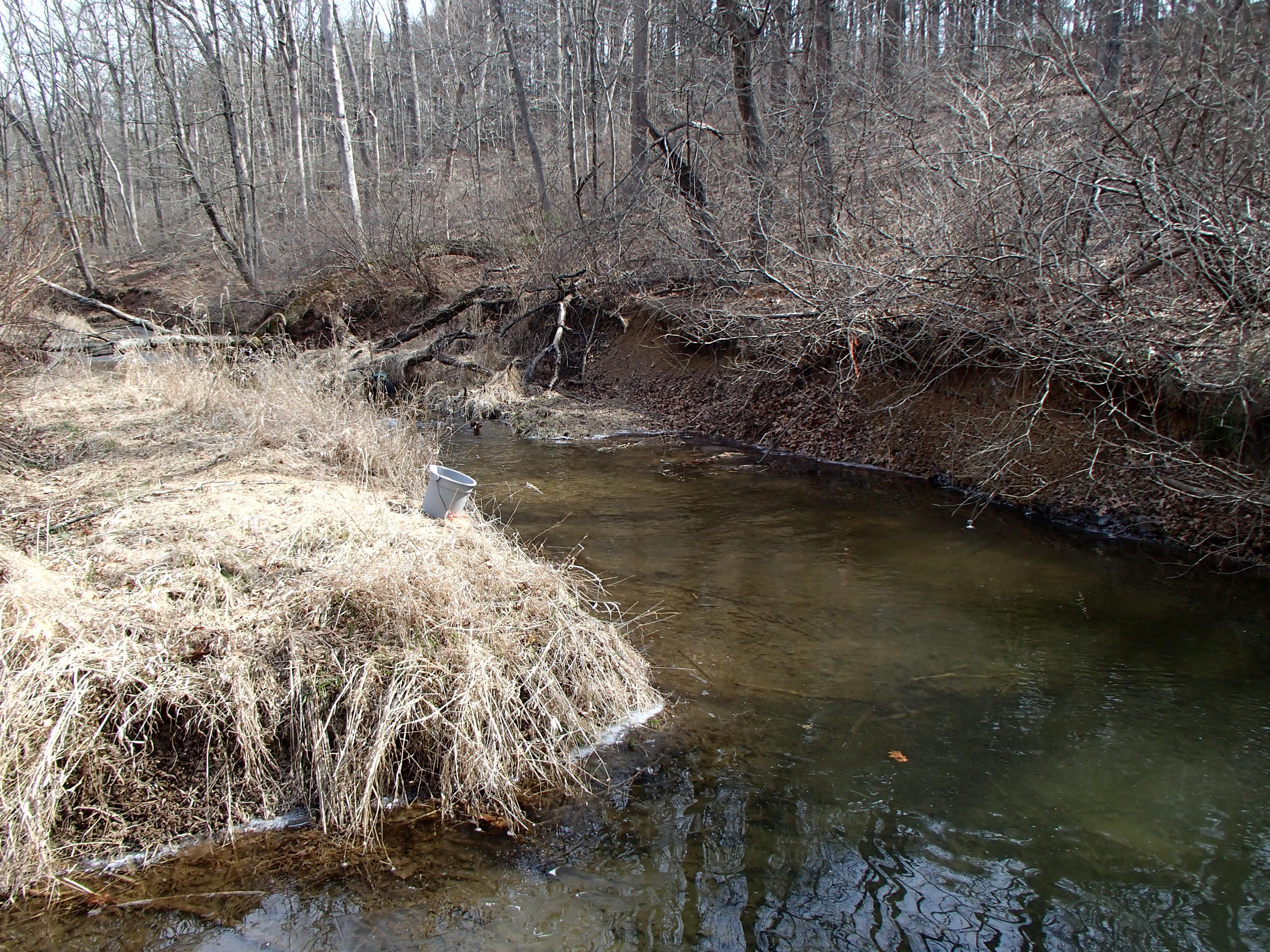 Field photo showing stream conditions at site DEER-314-R-2017-MidpointFacingUpstream
