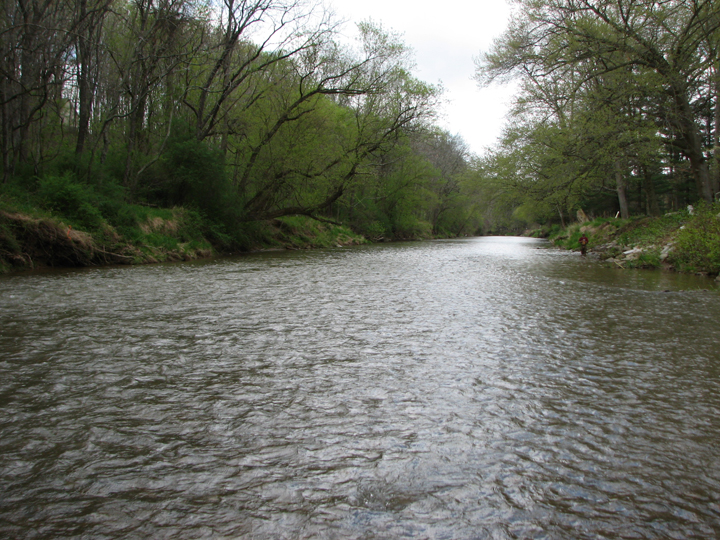Field photo showing stream conditions at site DEER-401-A-2008-1