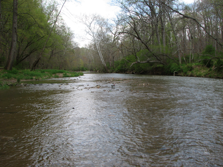 Field photo showing stream conditions at site DEER-401-A-2008-2