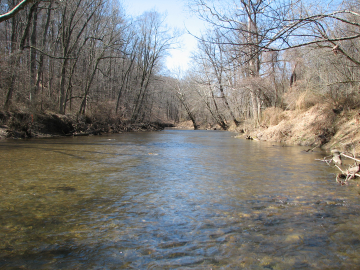 Field photo showing stream conditions at site DEER-403-R-2008-2