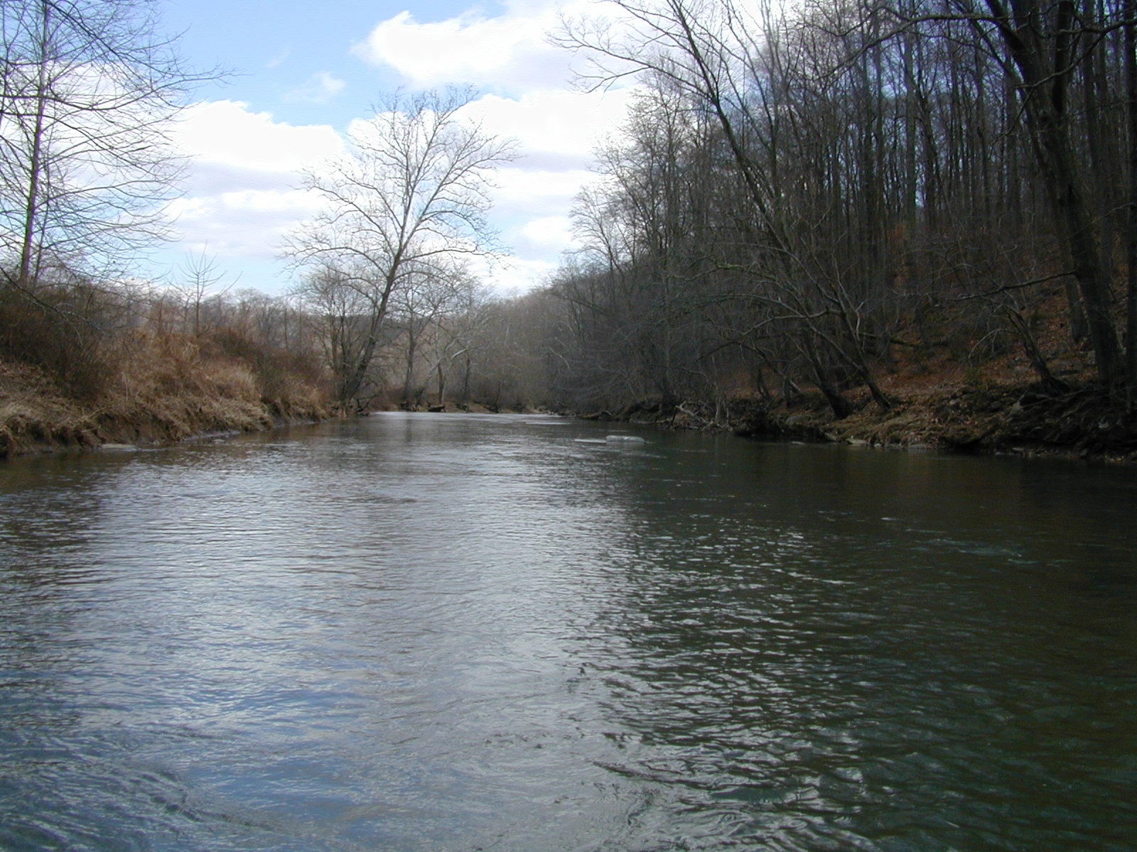 Field photo showing stream conditions at site DEER-404-R-2001-2