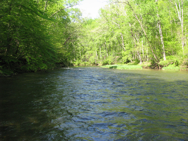 Field photo showing stream conditions at site DEER-405-H-2011-2